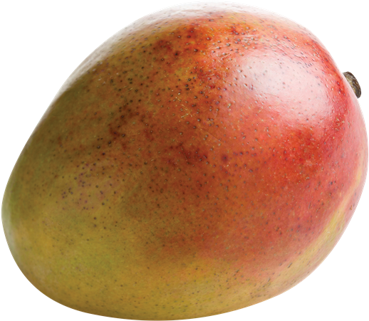 Mangoes 桌布 壁紙 — 一個成熟的芒果，紅黃色的皮上佈滿細小斑點，孤立在純白色背景上。