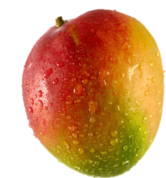 Mangoes 桌布 壁紙 — 一個成熟的芒果帶有紅色、黃色和綠色色調，在純黑背景上閃爍著水滴。