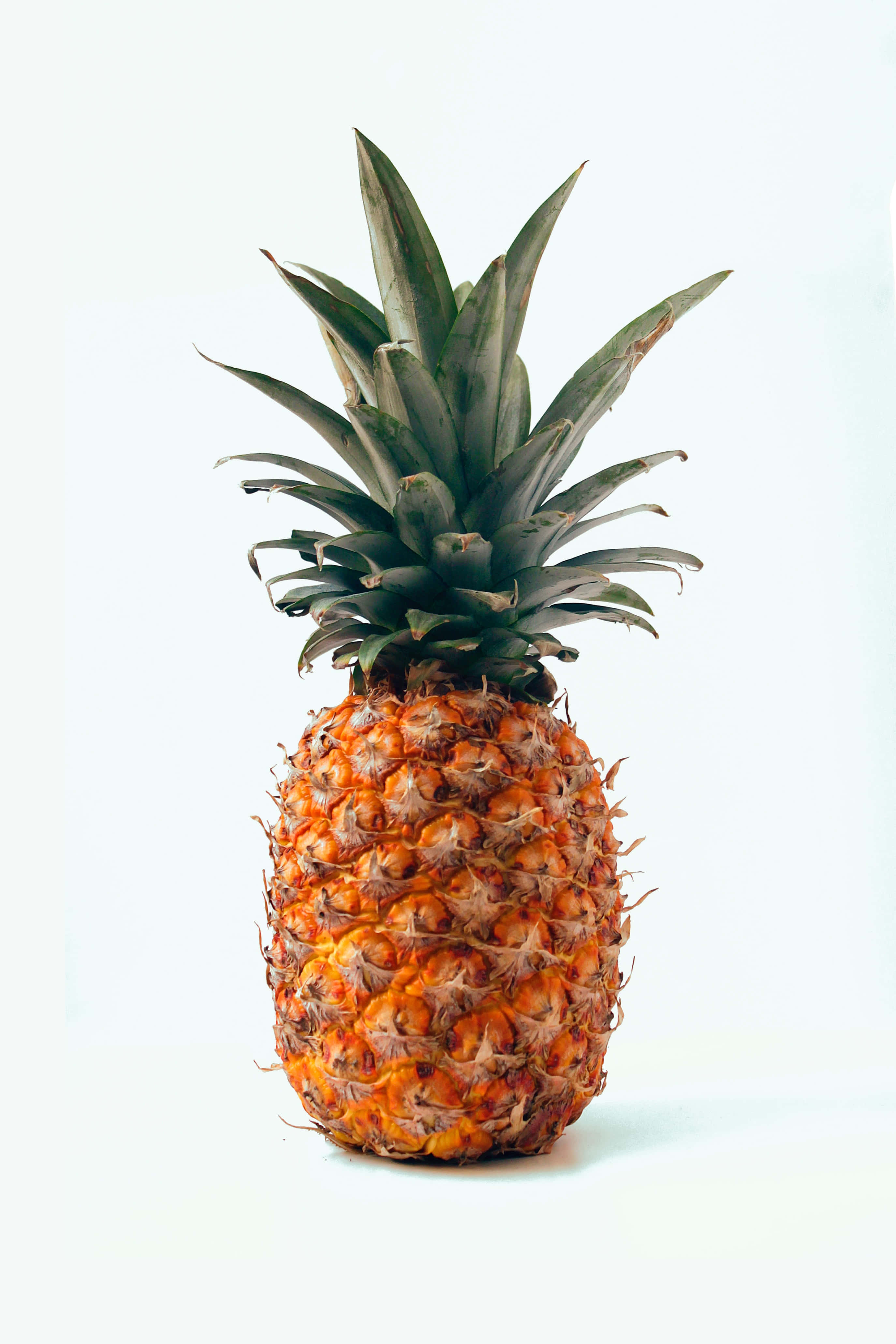 Pineapple 桌布 壁紙 — 一個成熟的鳳梨，帶有尖刺的綠色冠和紋理橙色的果皮，孤立在明亮的白色背景上。