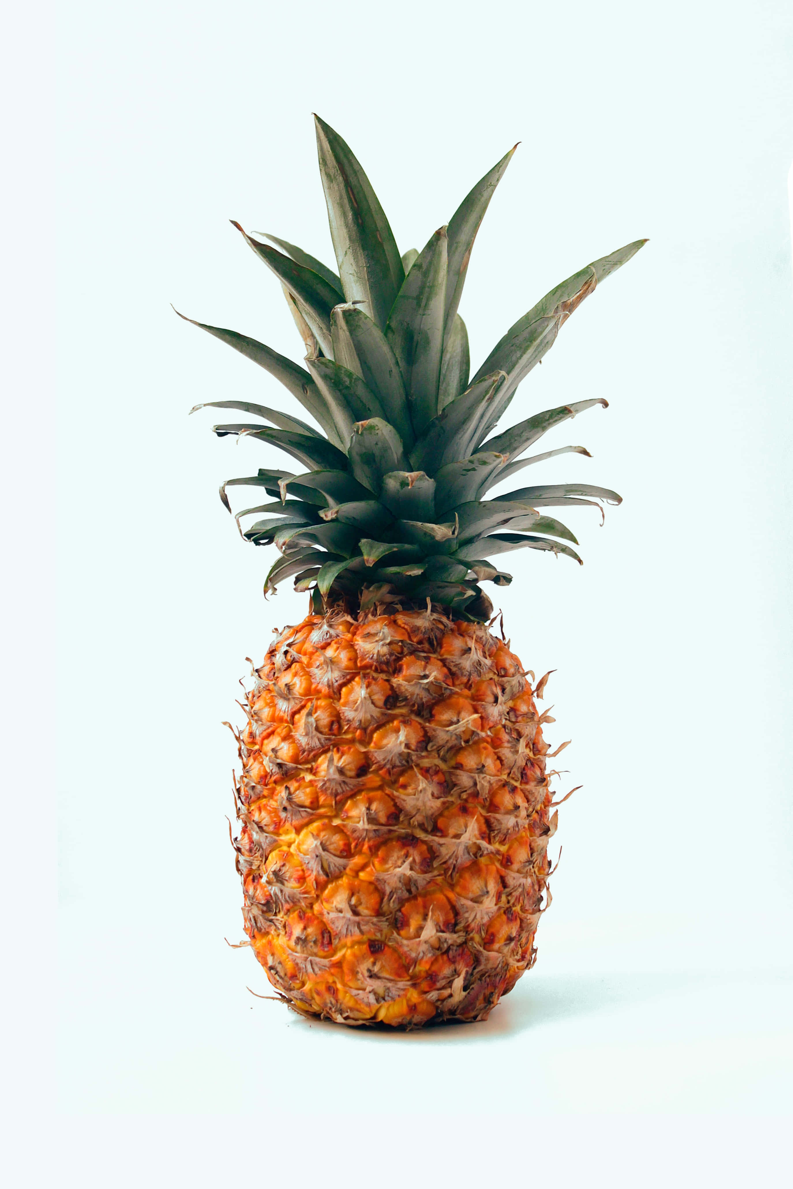 Pineapple 桌布 壁紙 — 一個成熟的鳳梨，帶有尖刺的綠色冠和紋理橙色的皮，居中放置在乾淨的白色背景上。