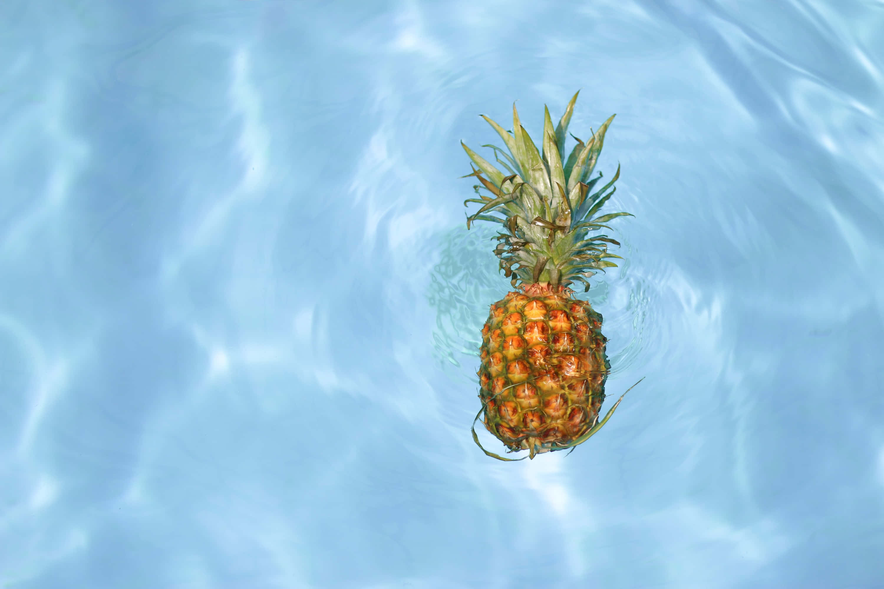 Pineapple 桌布 壁紙 — 一個成熟的鳳梨在清澈的藍水中平靜地漂浮，柔和的水波反射著陽光。