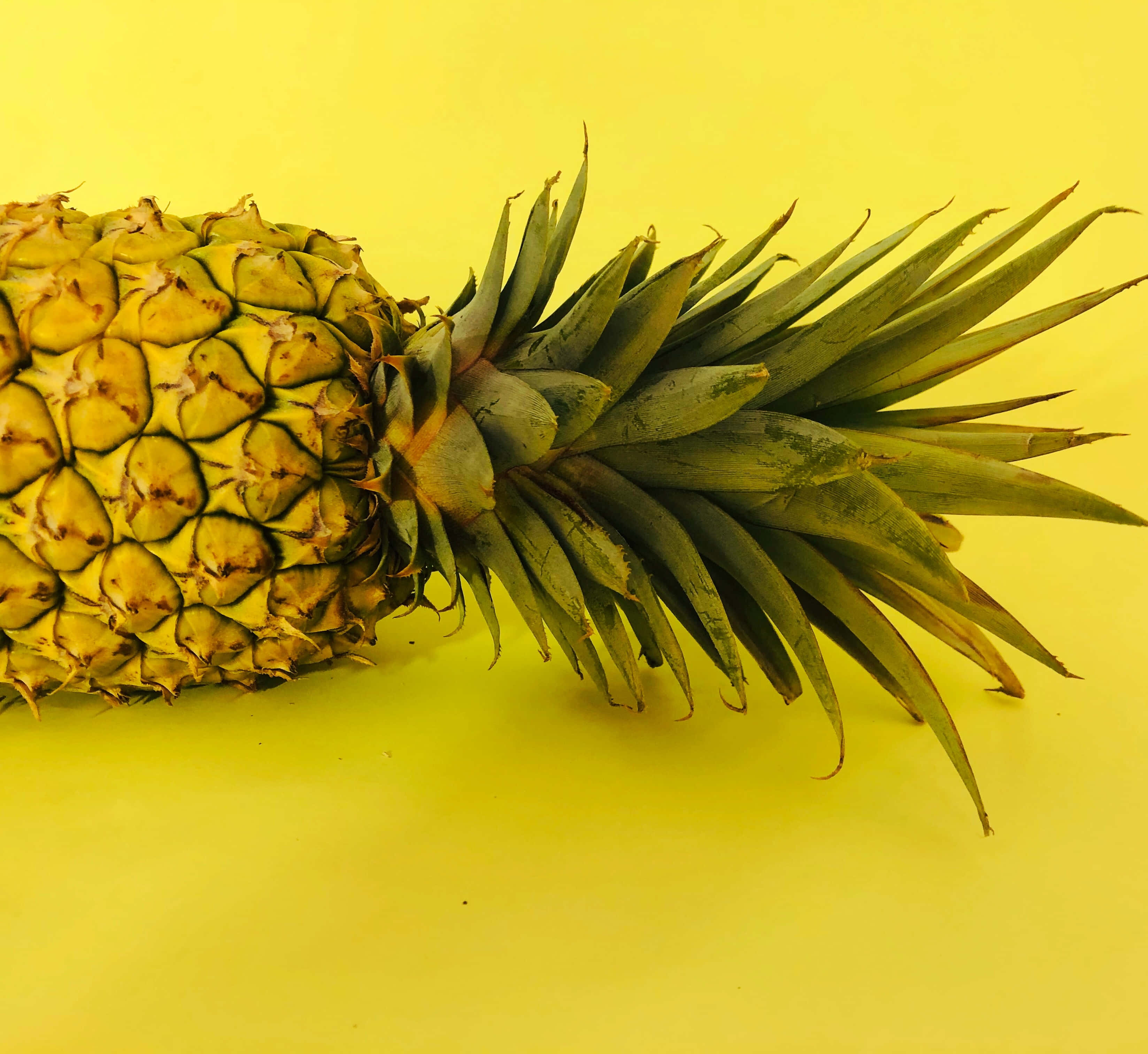Pineapple 桌布 壁紙 — 一個成熟的鳳梨帶有尖刺的綠色冠部，斜放在純黃色背景上。