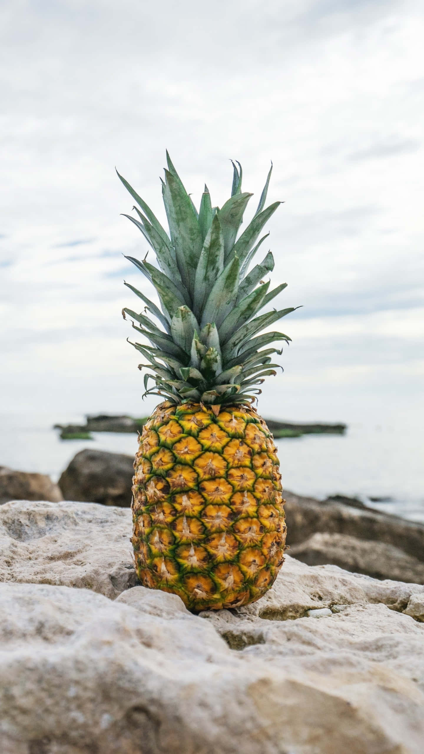 Pineapple 桌布 壁紙 — 一個成熟的鳳梨帶有綠色冠部，擱在多紋理的石頭上，旁邊是平靜的海洋，天空多雲。