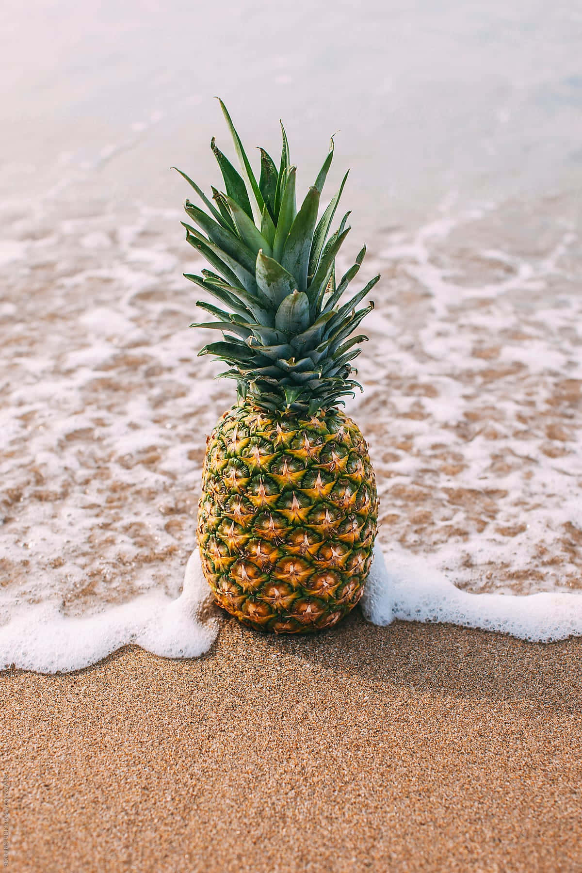 Pineapple 桌布 壁紙 — 一個成熟的鳳梨擱在沙灘上，溫柔的海浪拍打著它的底部。