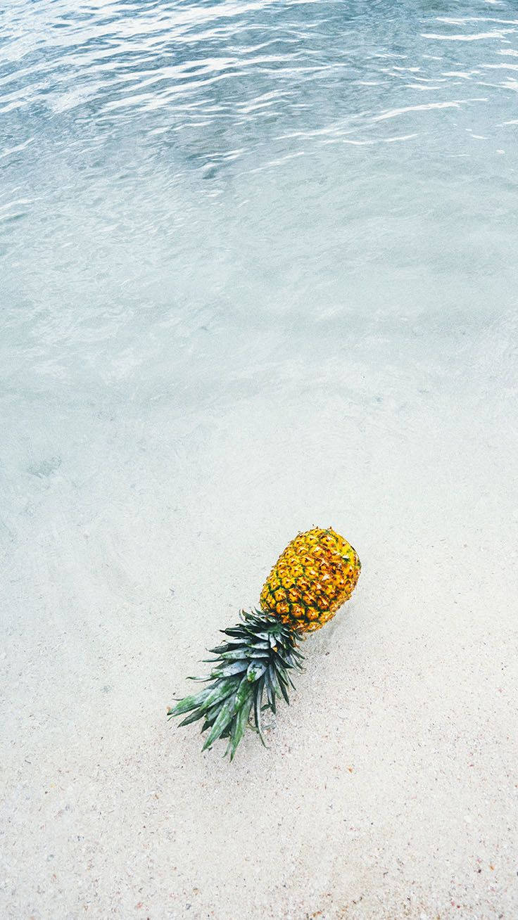 Pineapple 桌布 壁紙 — 一個成熟的鳳梨放在清澈碧綠水邊的白沙上。