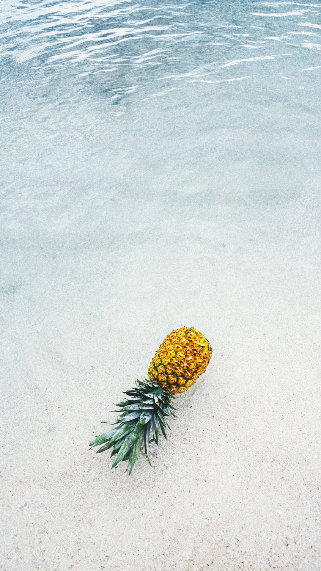 鳳梨 桌布 壁紙 — 一個成熟的鳳梨放在清澈碧綠水邊的白沙上。