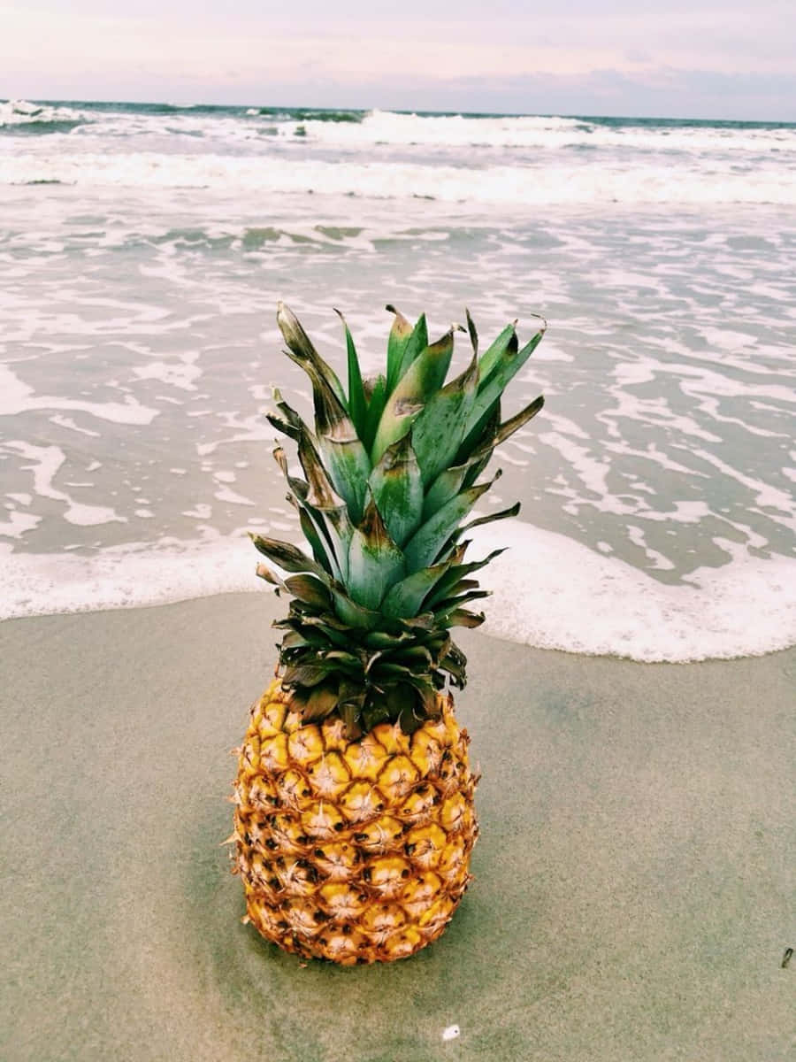 Pineapple 桌布 壁紙 — 一個成熟的鳳梨放在濕沙上，海浪在柔和陰天下翻滾。