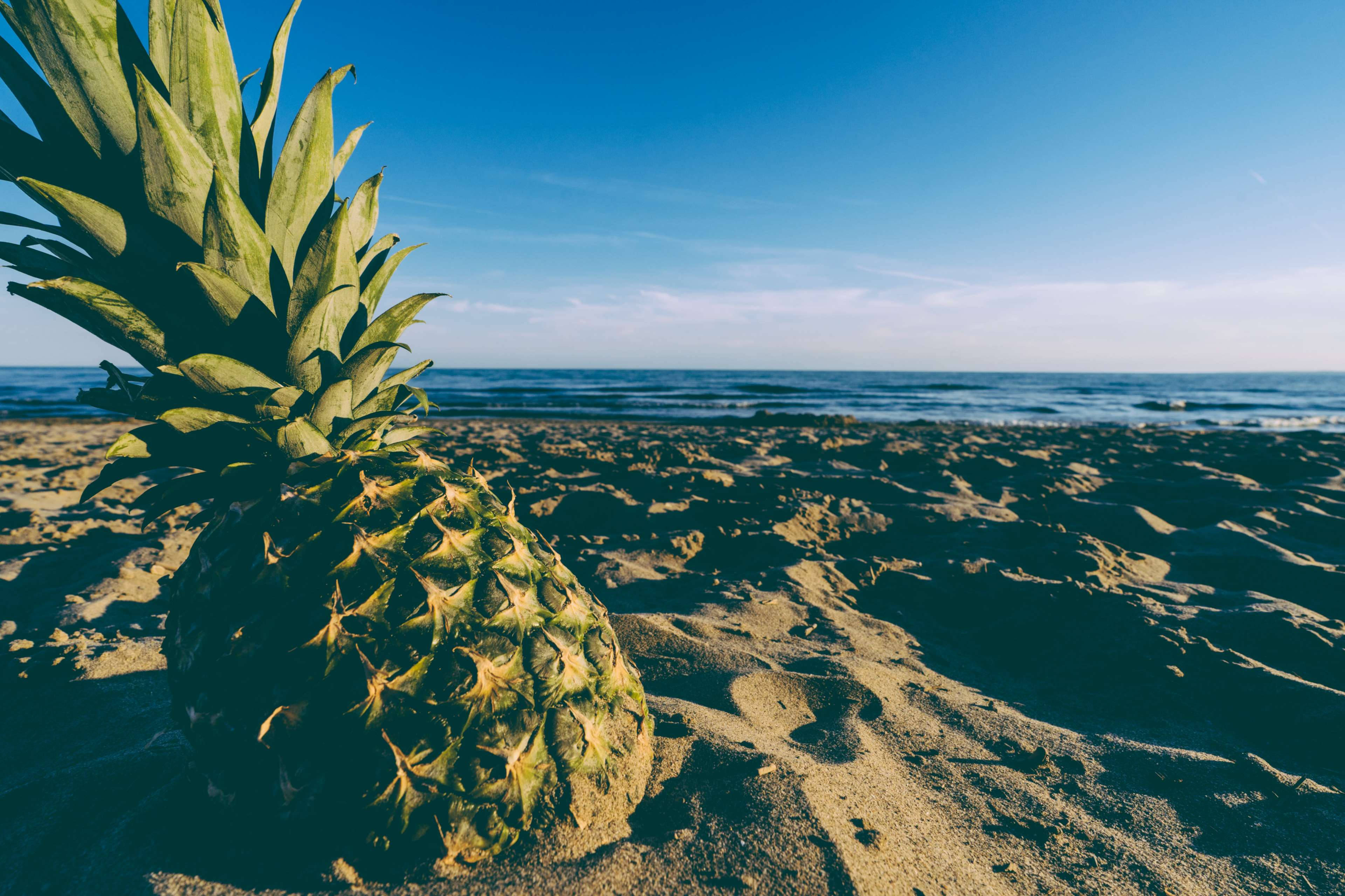 Pineapple 桌布 壁紙 — 一個成熟的鳳梨放在陽光照耀的沙灘上，背景是廣闊的海洋和清澈的藍天。