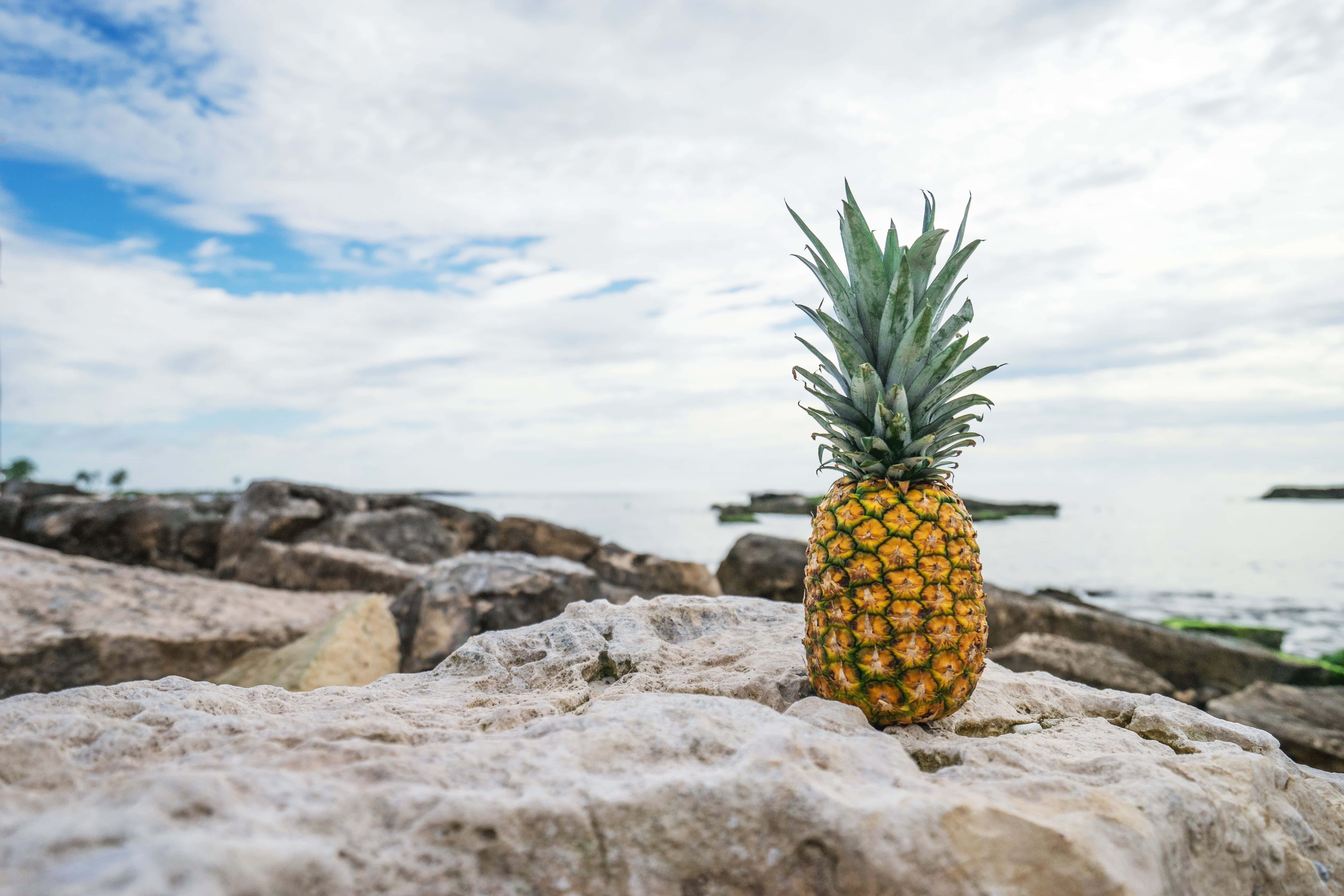 Pineapple 桌布 壁紙 — 一個成熟的鳳梨獨自放在海邊風化的岩石上，天空部分多雲。