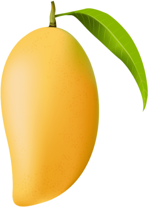Mango 桌布 壁紙 — 一個成熟的黃色芒果，附有綠色葉子，背景透明。