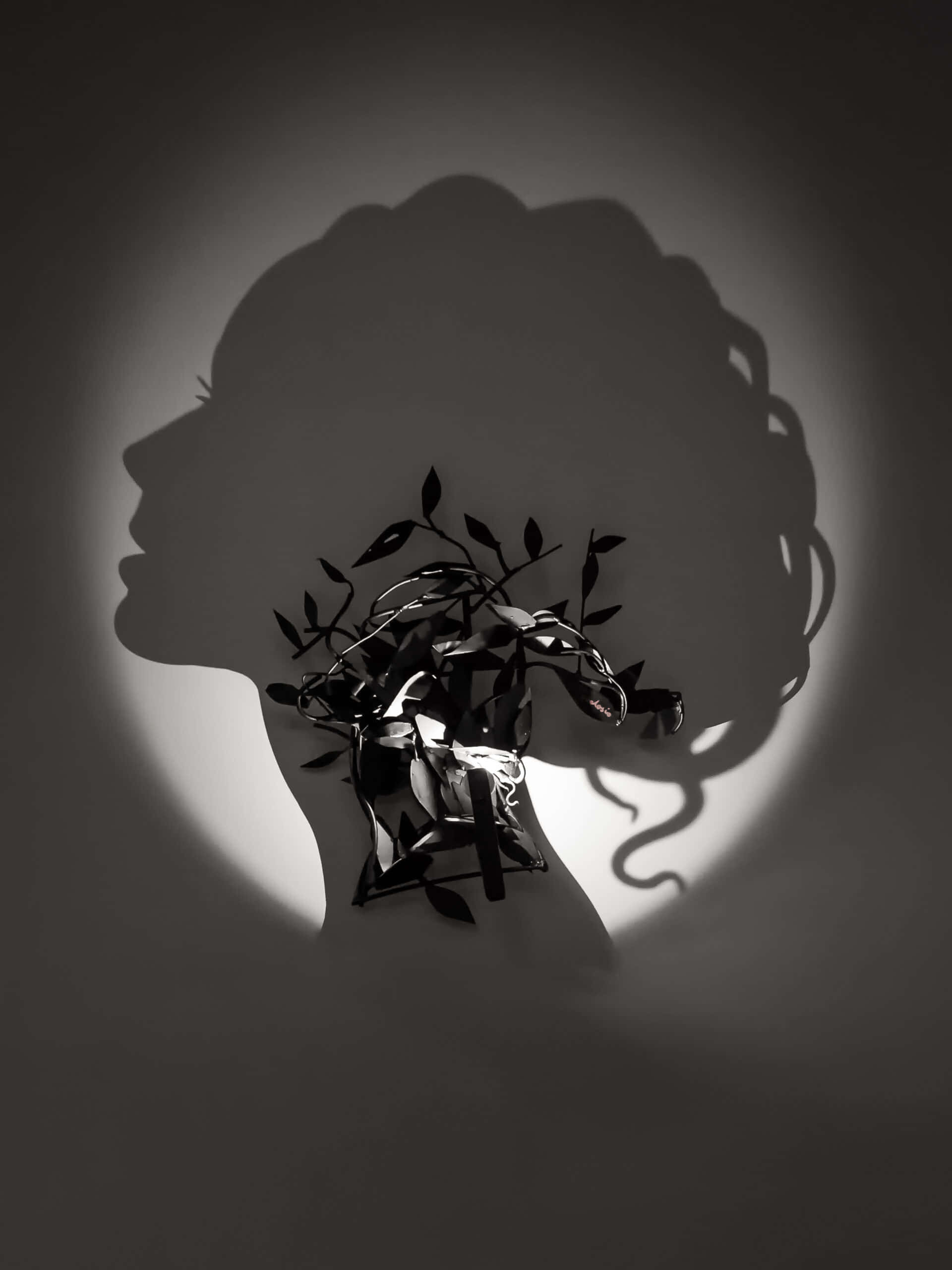shadow 桌布 壁紙 — 一個戲劇性的單色女性頭部陰影，複雜的葉狀藤蔓從她的脖子伸出，映在聚光燈照射的牆上。