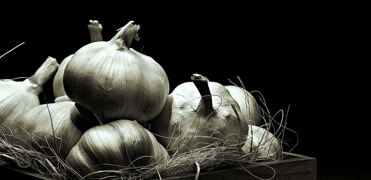Black Garlic 桌布 壁紙 — 一個戲劇性的單色靜物畫，蒜頭依偎在稻草中，背景是 stark 黑色。