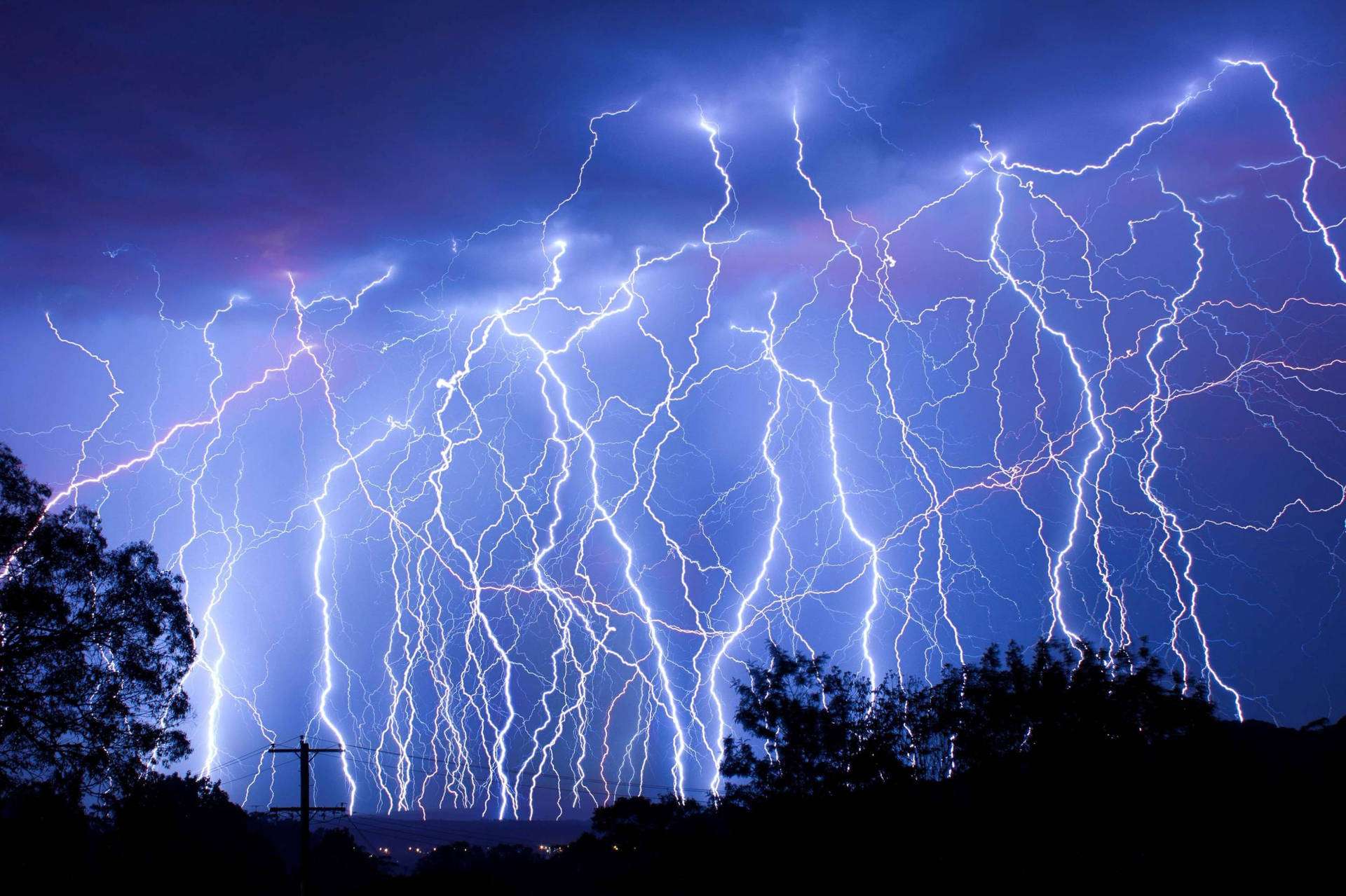 閃電 桌布 壁紙 — 一個戲劇性的夜空，充滿強烈的分支閃電，照亮了黑暗的樹木和電線的剪影。