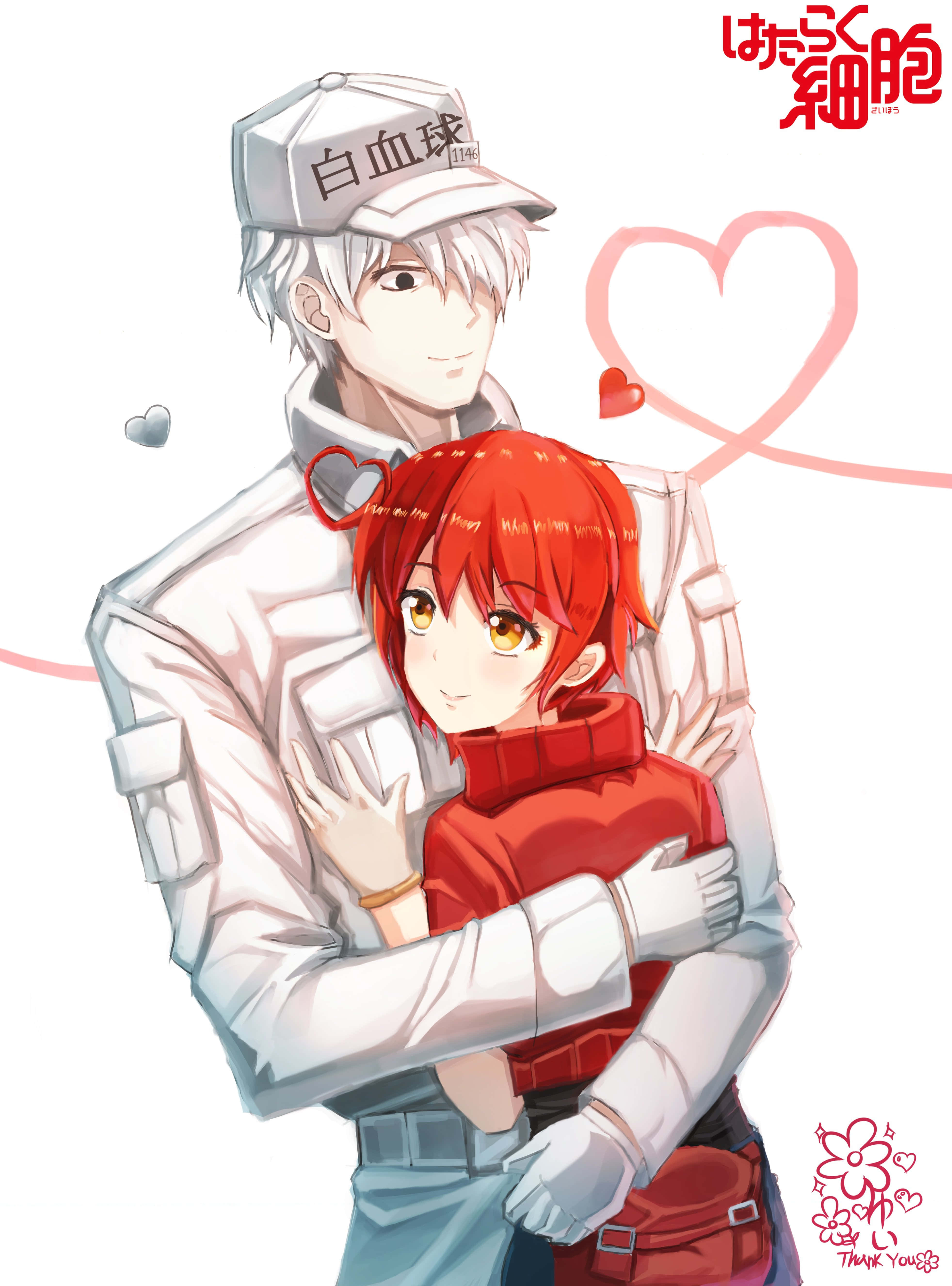 Cells At Work 桌布 壁紙 — 一個戴帽的白血球角色擁抱一個穿紅色毛衣的紅血球角色，周圍漂浮著愛心。