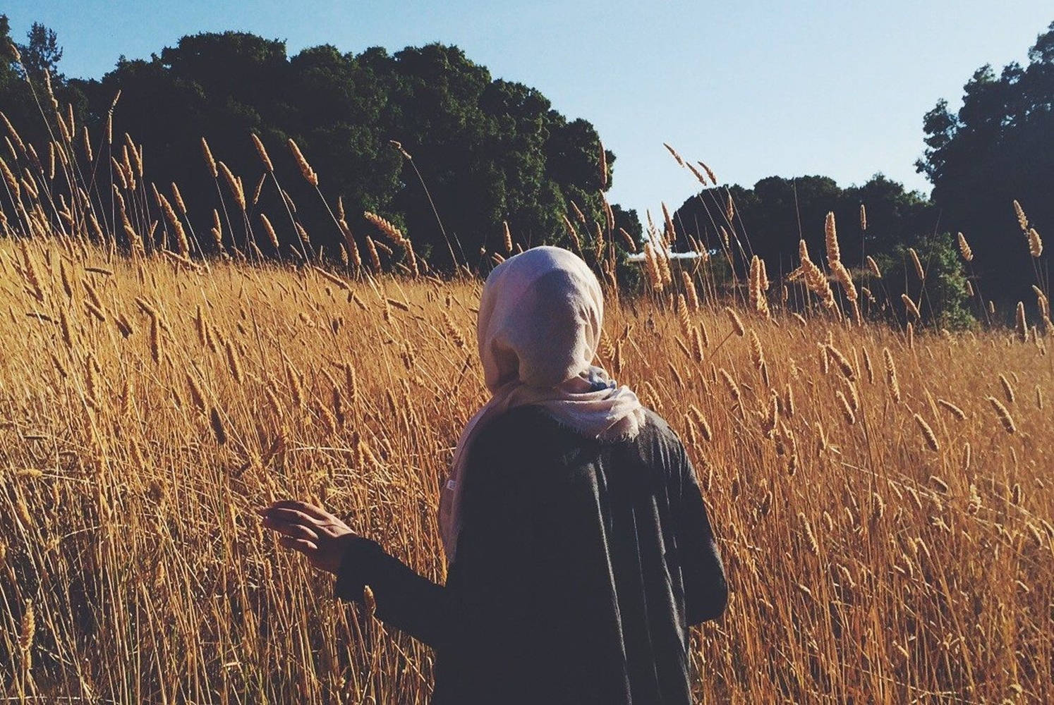 muslim 桌布 壁紙 — 一個戴白色頭巾的人走過高高的金色草叢，背景有樹木和藍天。