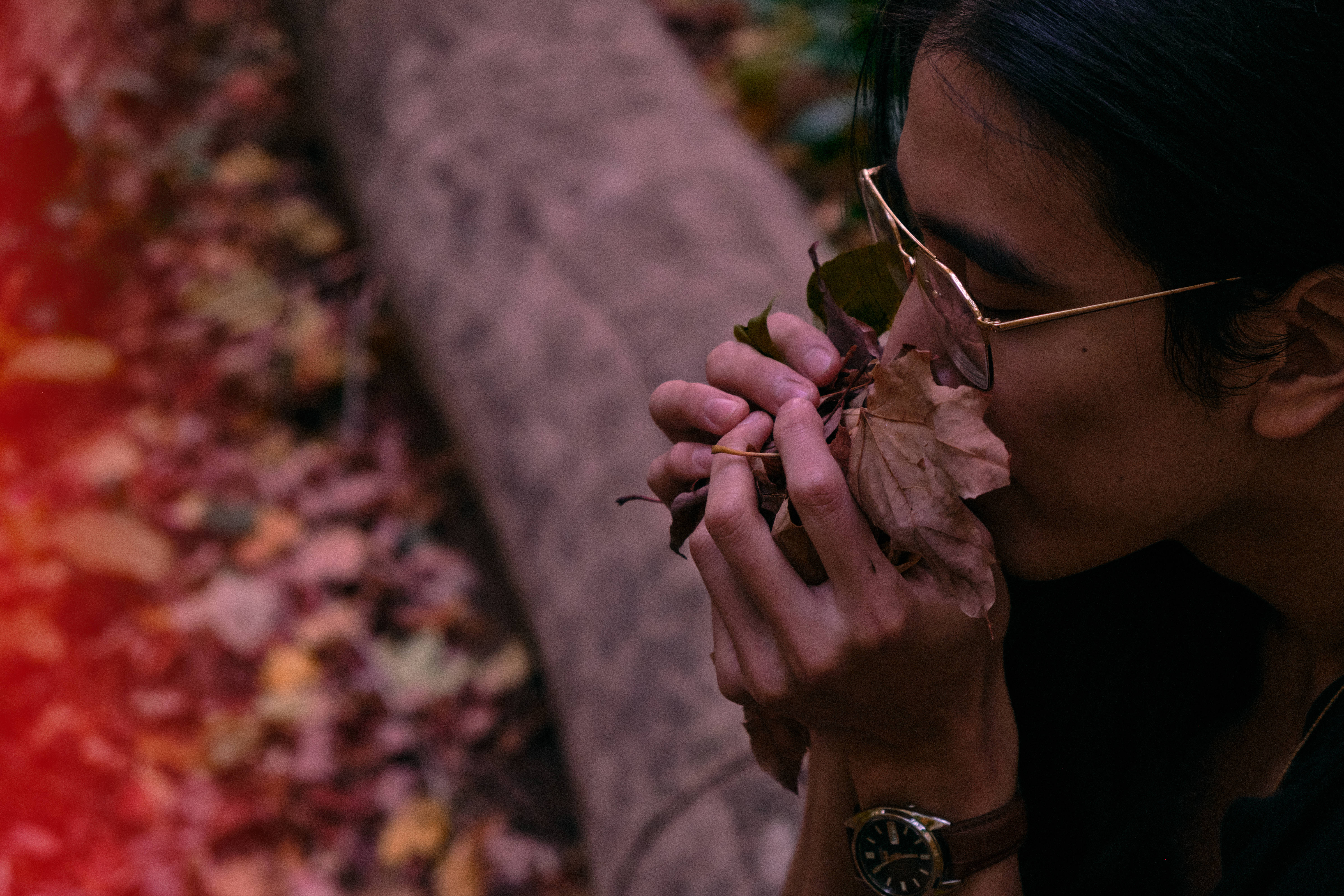 Feels 桌布 壁紙 — 一個戴眼鏡的人在充滿活力的紅色和棕色森林地上輕輕聞秋天的樹葉。