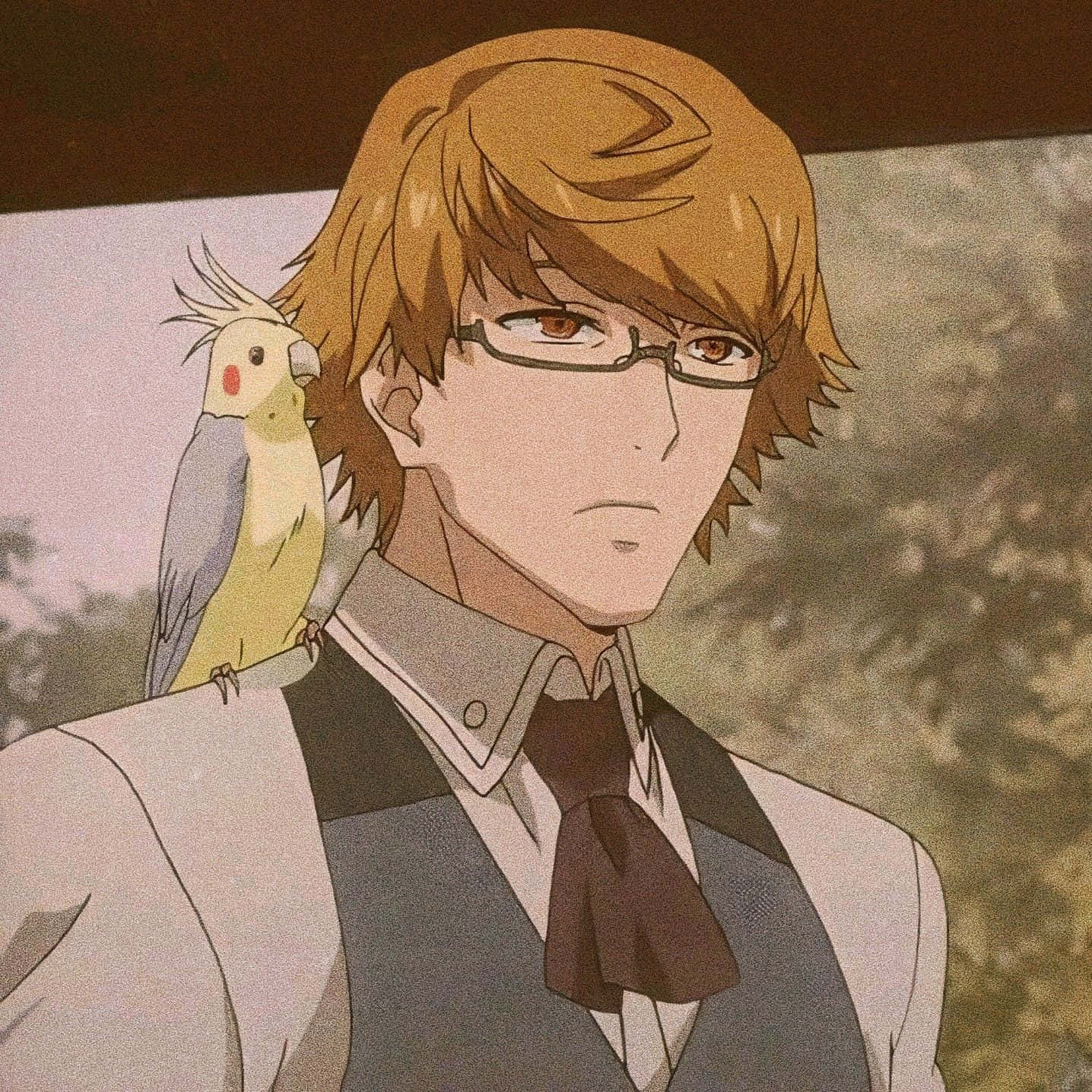 Nishiki Nishio 桌布 壁紙 — 一個戴眼鏡的冷靜動漫男子，肩上有隻雞尾鸚鵡，背景是柔和模糊的戶外景色。