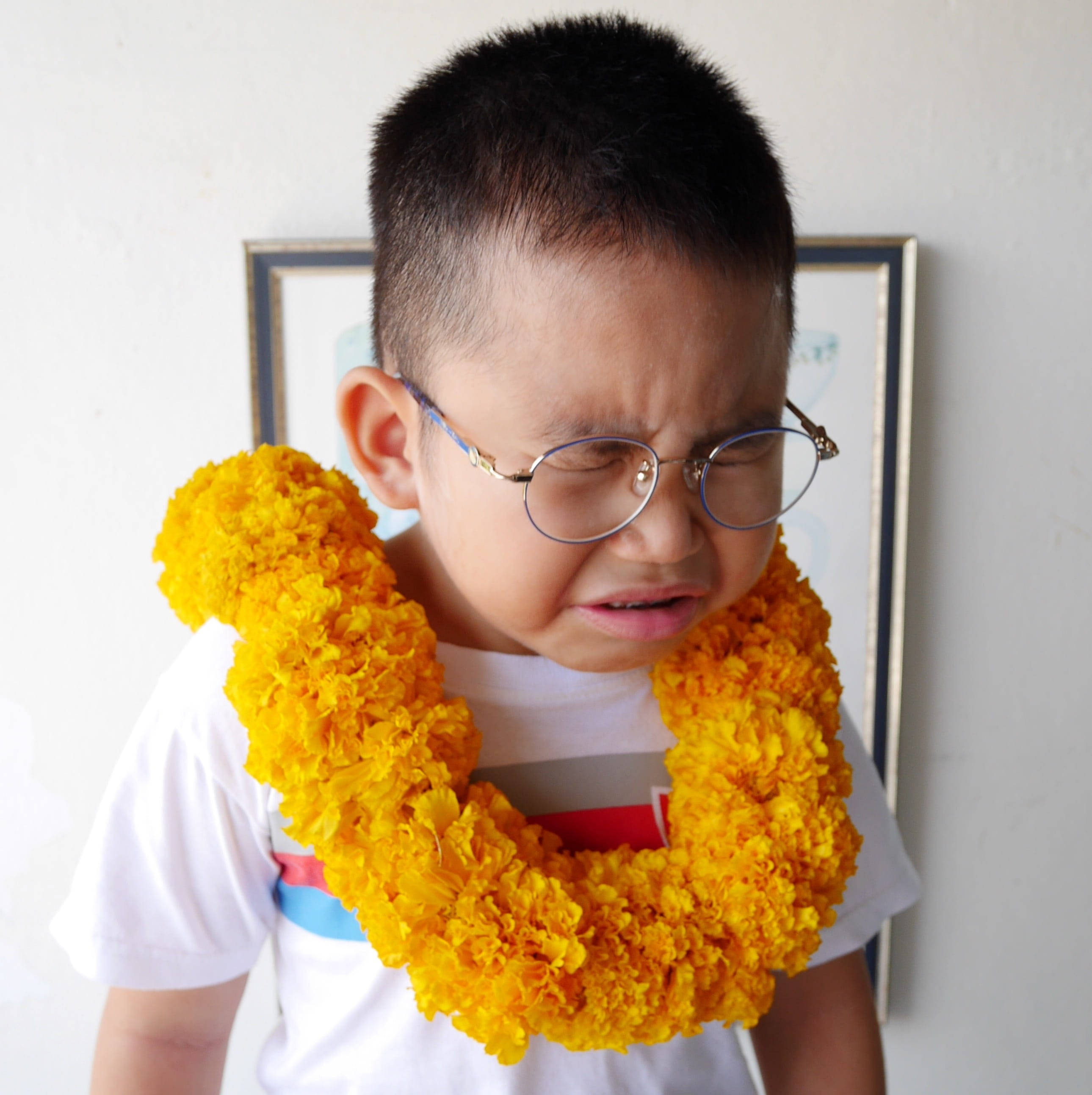 crying sad boy 桌布 壁紙 — 一個戴眼鏡的小男孩在室內脖子上掛著一條鮮黃色萬壽菊花環，做著鬼臉。
