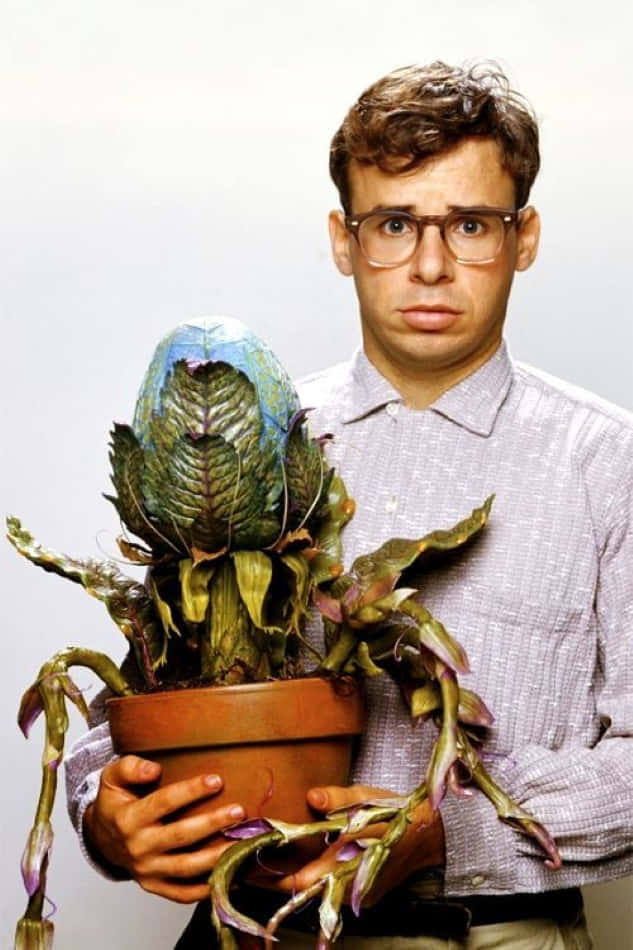 rick moranis 桌布 壁紙 — 一個戴眼鏡的男人，在純色背景前，拿著一盆葉子呈紫色和綠色的枯萎盆栽。