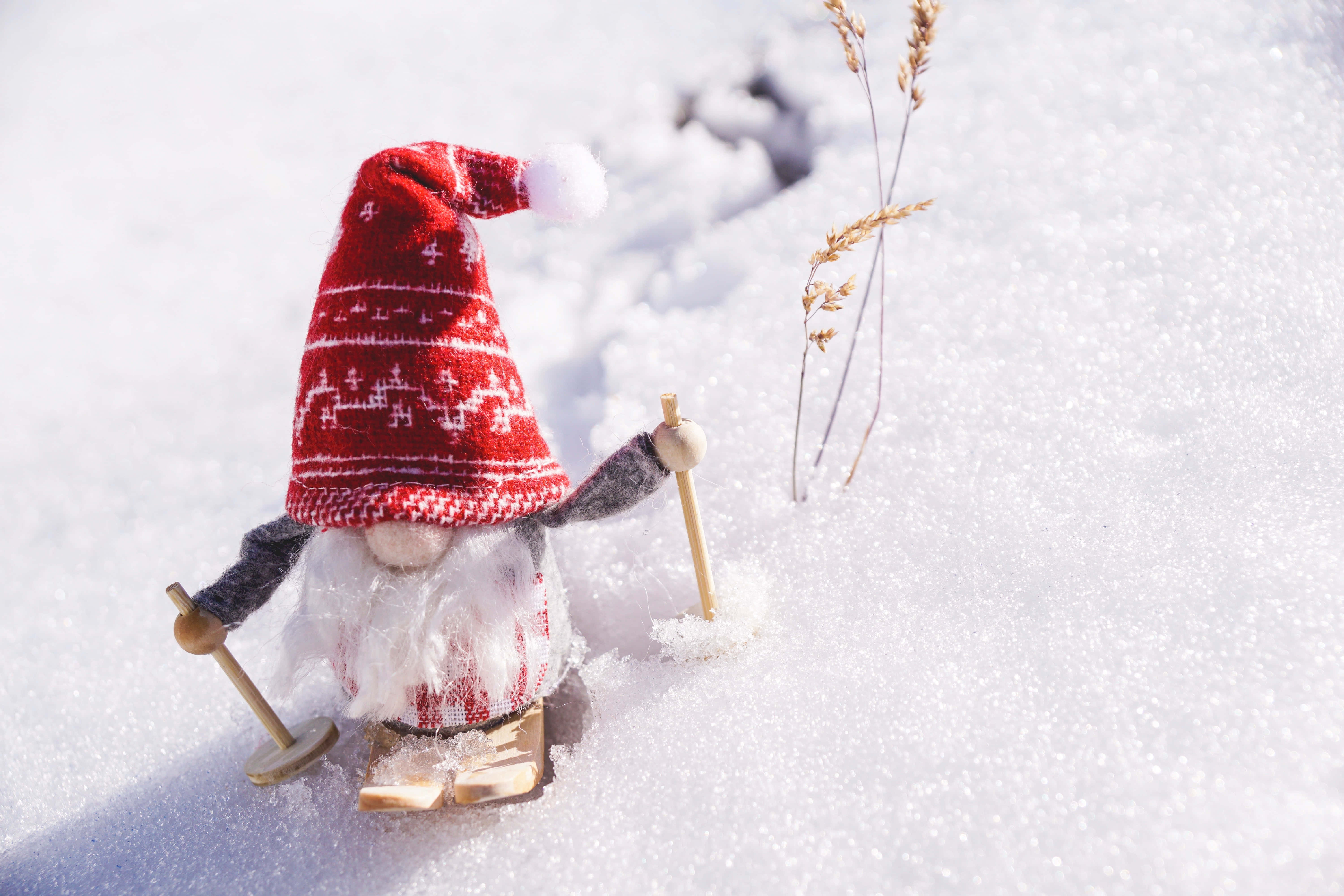 Snow Christmas 桌布 壁紙 — 一個戴紅帽、留白鬍子的節日地精站在新雪中，手持滑雪杖，旁邊是乾草莖。