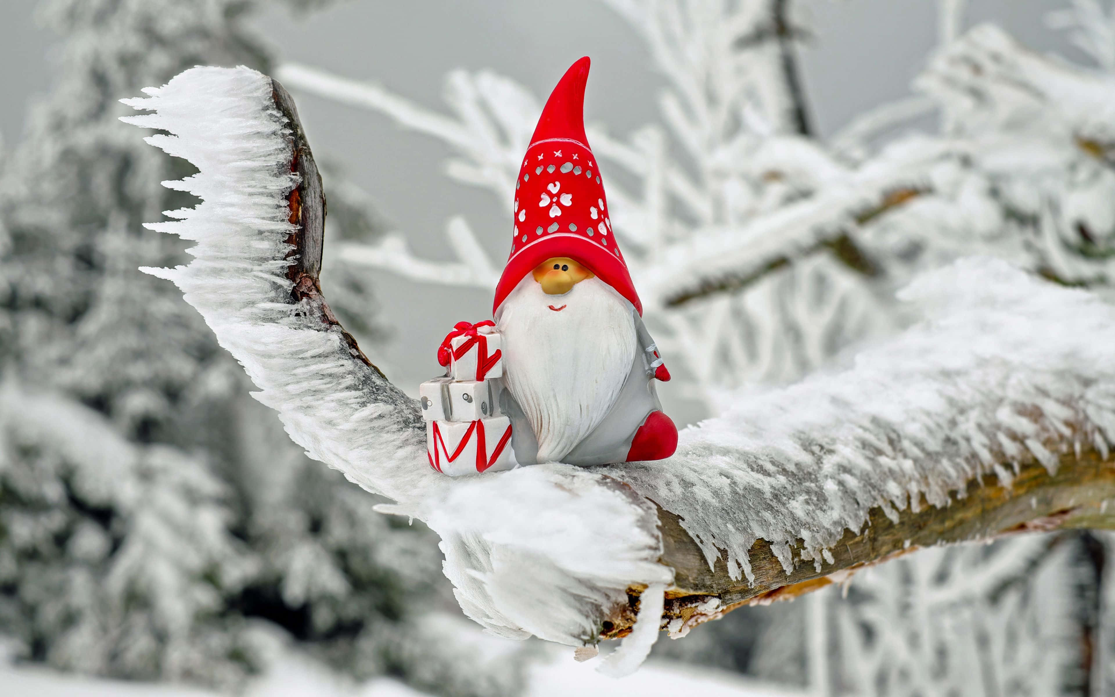 Christmas Snow 桌布 壁紙 — 一個戴紅帽、白鬍子的快樂地精坐在結冰積雪的樹枝上，手持包裝好的禮物，背景是寒冷的冬季森林。