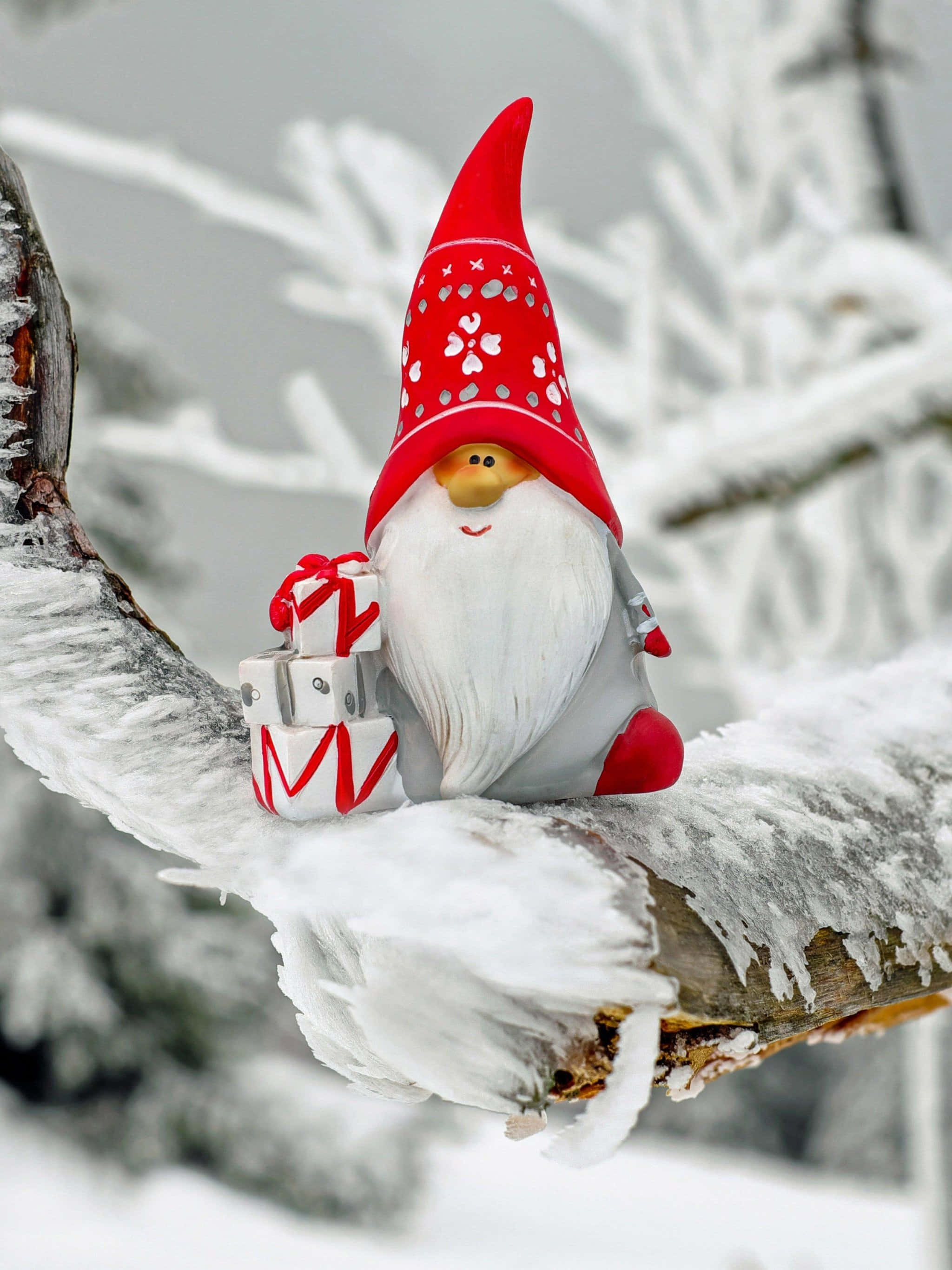 Gnome 桌布 壁紙 — 一個戴紅帽、白鬍子的快樂地精坐在積雪的樹枝上，抱著包裝好的禮物，背景是寒冷的冬日景色。