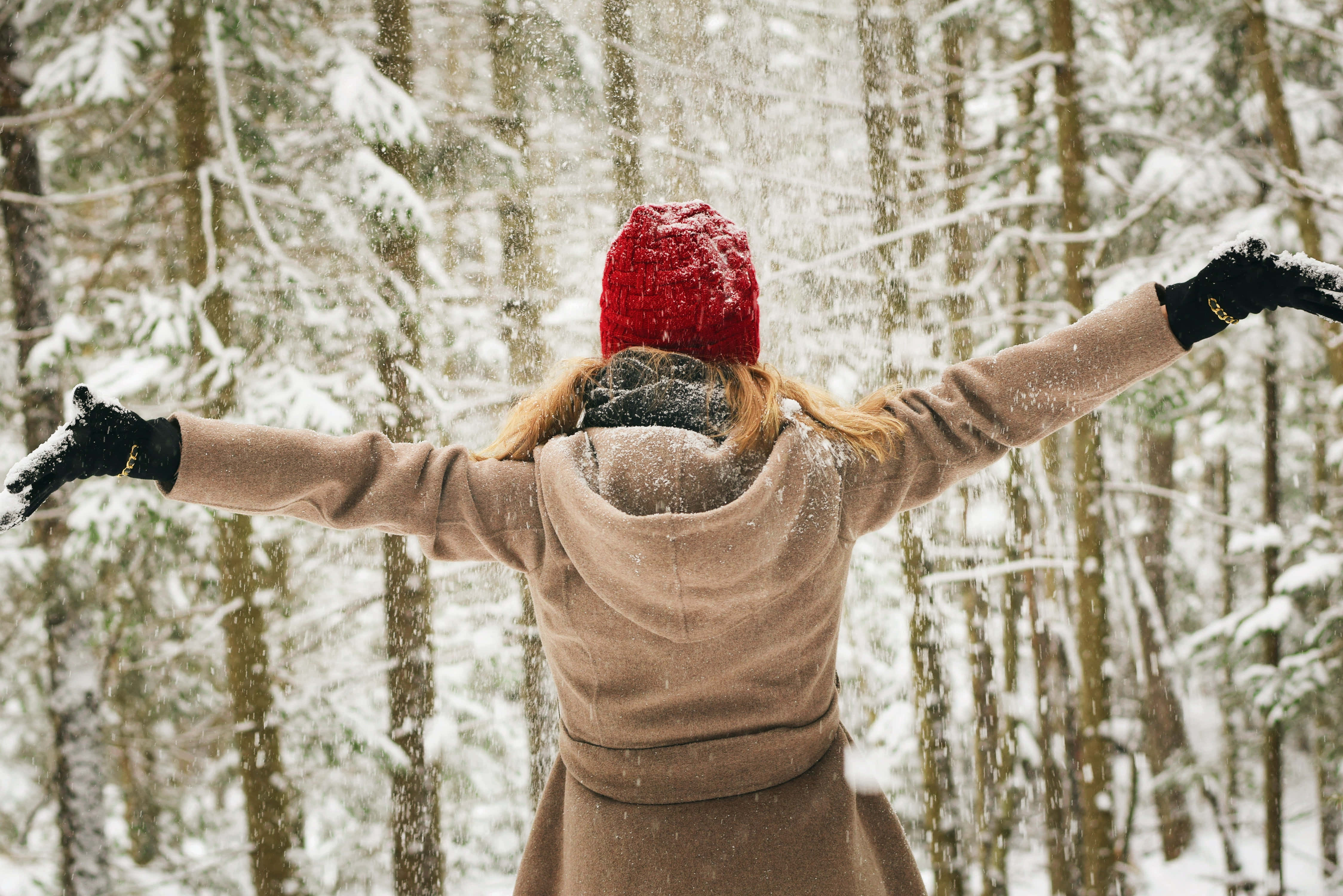 Cold 桌布 壁紙 — 一個戴紅帽、穿米色外套的人在雪森林中張開雙臂，擁抱飄落的雪花。