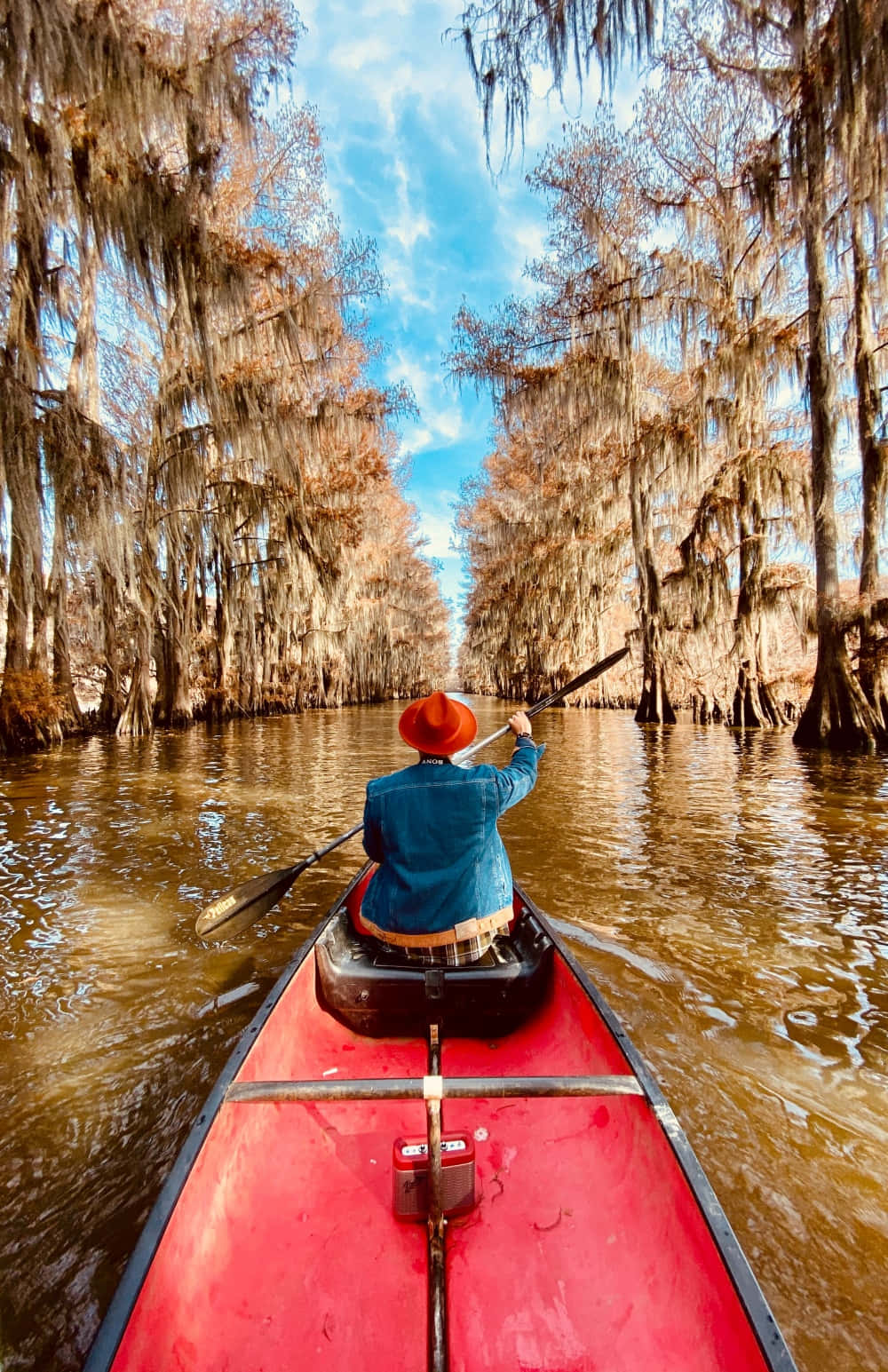 adventure 桌布 壁紙 — 一個戴紅帽的人划著鮮紅色獨木舟穿過寧靜的柏樹沼澤，沼澤有懸垂的苔蘚和平靜的棕色水面，天空蔚藍。