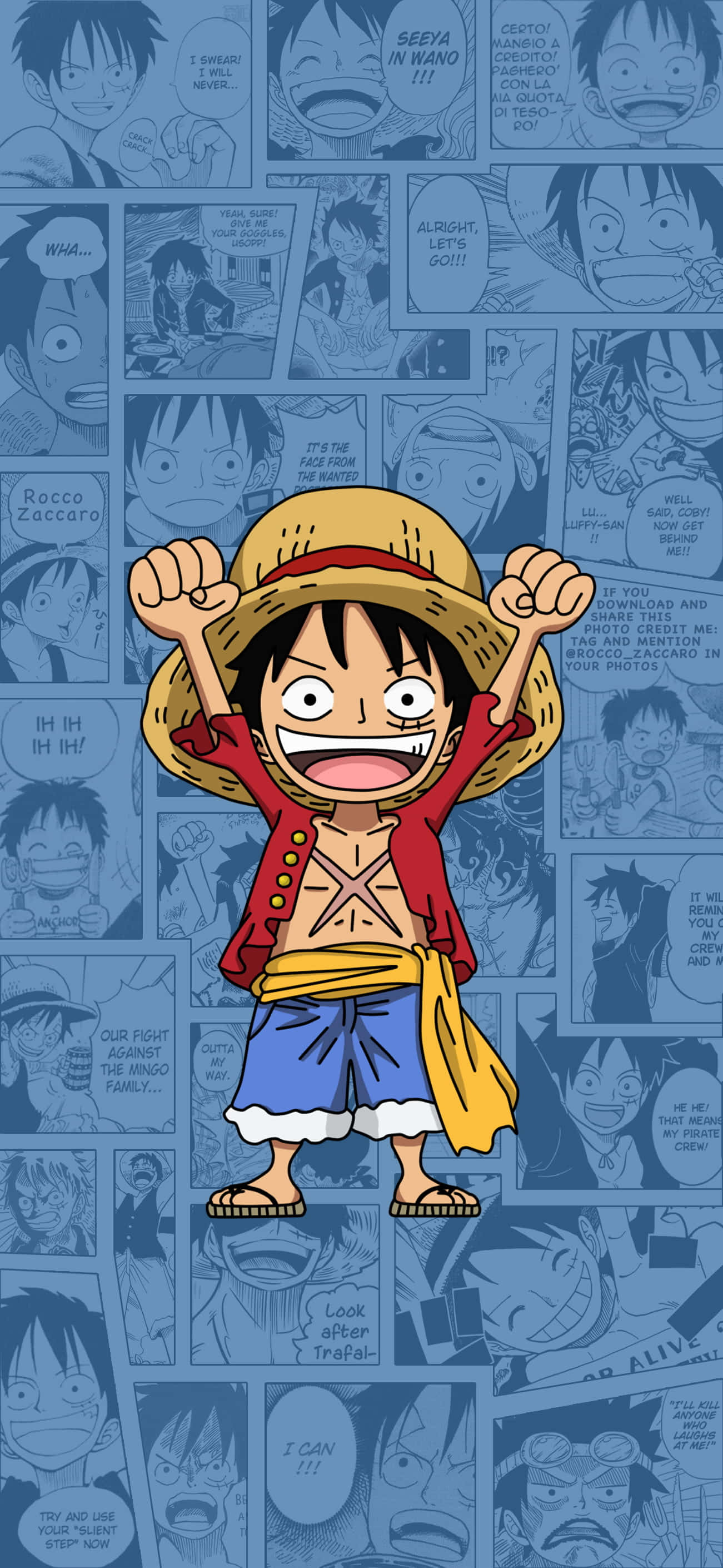 One Piece Manga 桌布 壁紙 — 一個戴草帽、穿紅色背心的開朗動漫男孩，在藍色漫畫面板背景上勝利地站立。