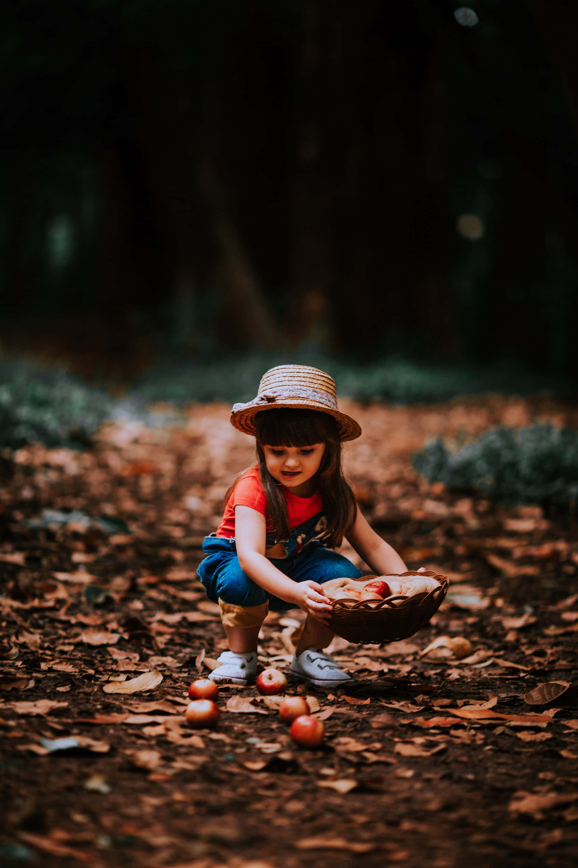 Apple Picking 桌布 壁紙 — 一個戴草帽的年輕女孩蹲在森林中，在落葉間將紅蘋果收集到一個編織籃子裡。
