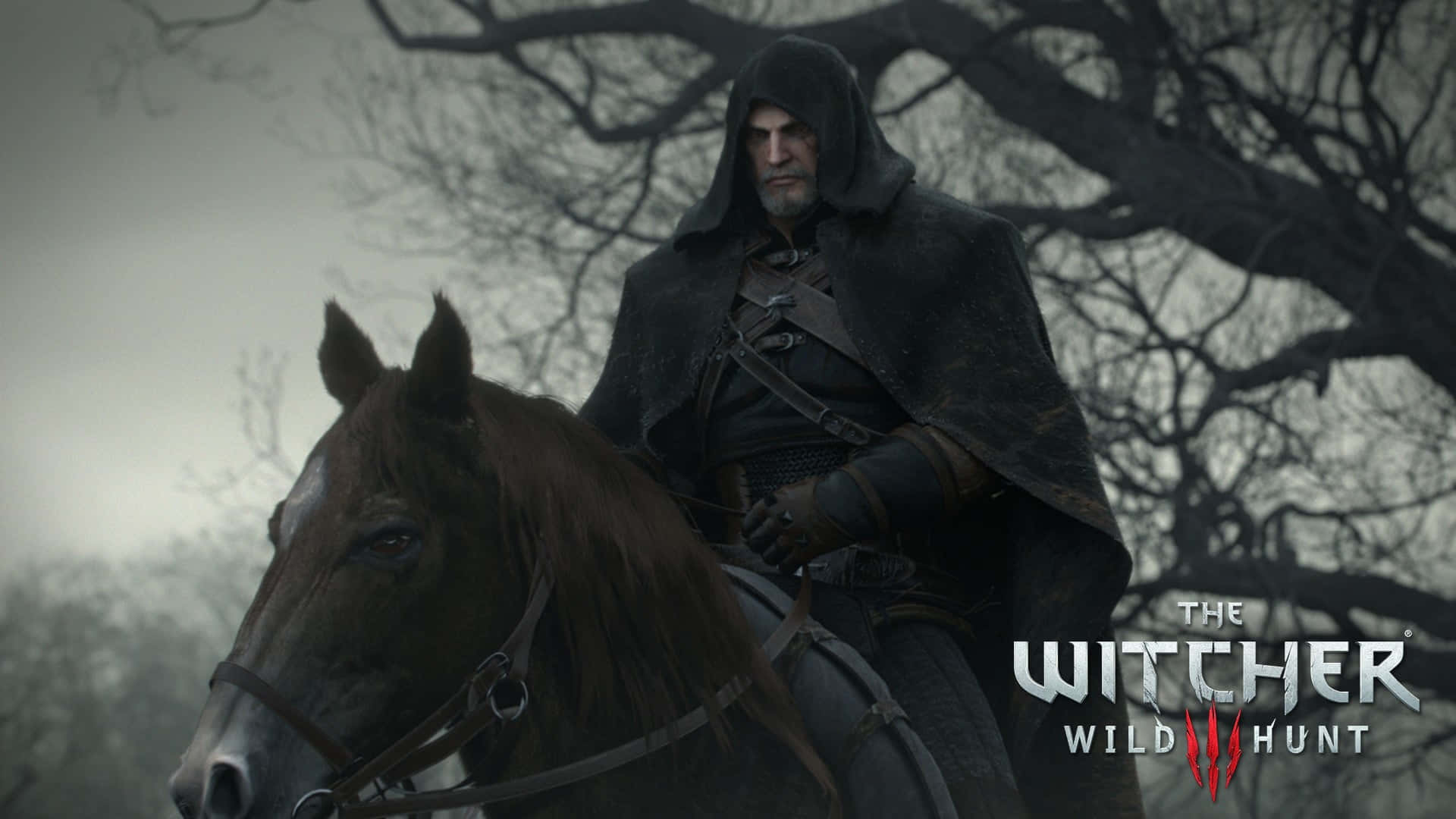 The Witcher 3 Wild Hunt 桌布 壁紙 — 一個戴著兜帽的獵魔士騎著一匹黑馬穿過陰暗的森林，樹木光禿，天空多雲。