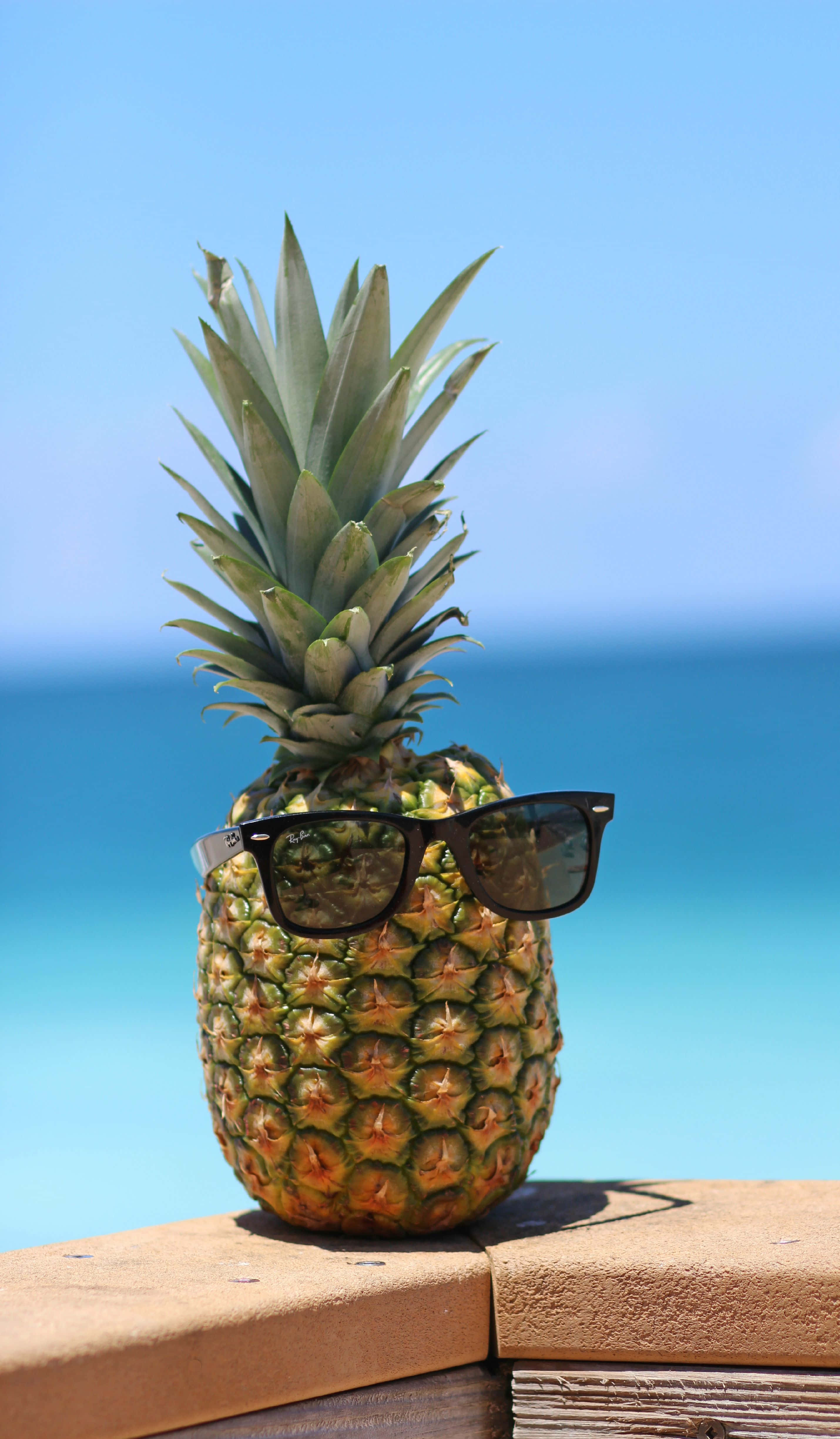Pineapple 桌布 壁紙 — 一個戴著太陽眼鏡的鳳梨坐在木欄杆上，背景是清澈的藍色海洋和天空。