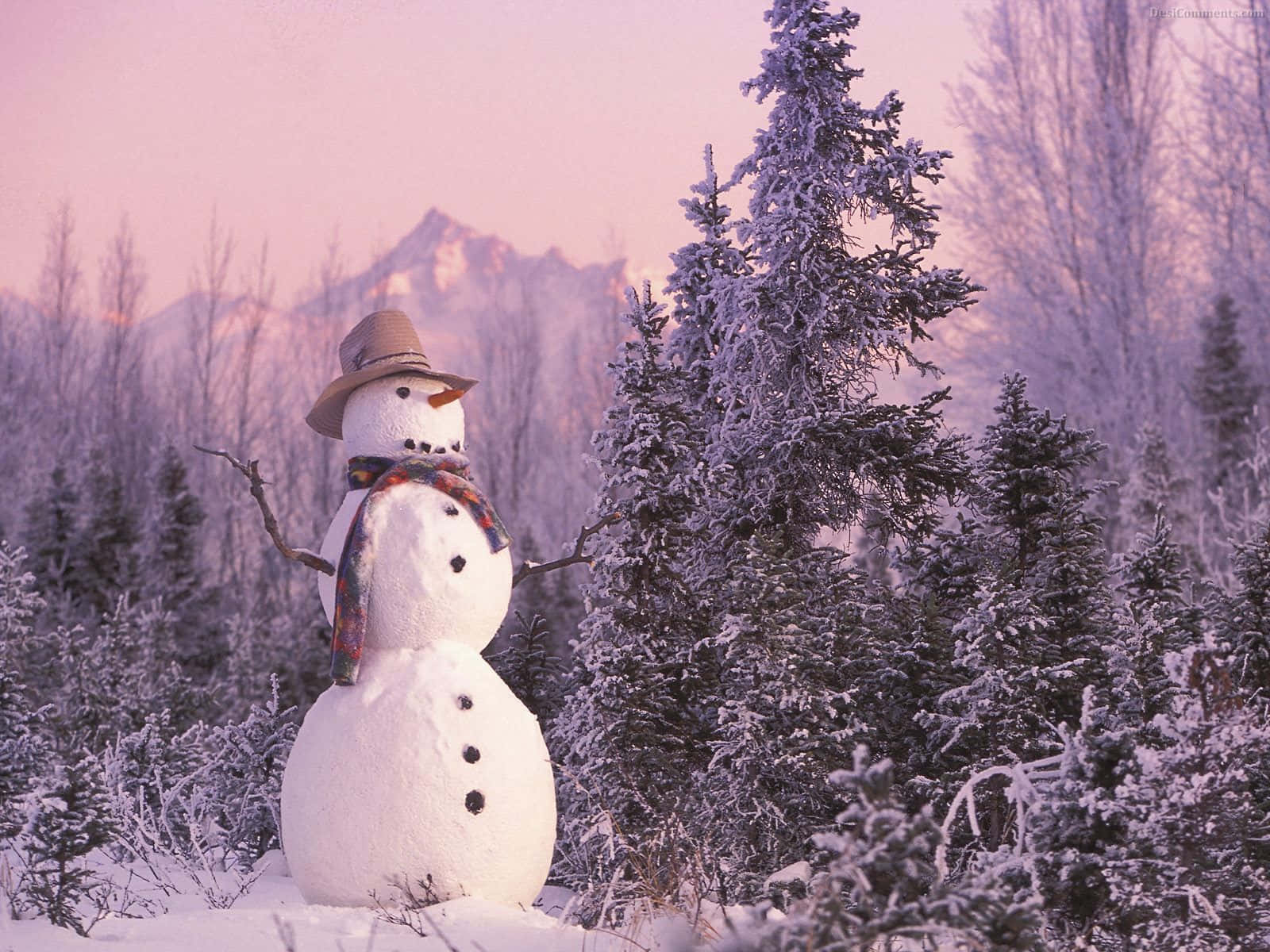 桌布 壁紙 — 一個戴著帽子和圍巾的快樂雪人站在雪地森林中，周圍有結霜的樹木和遠處的山脈，天空是粉紅色的暮色。
