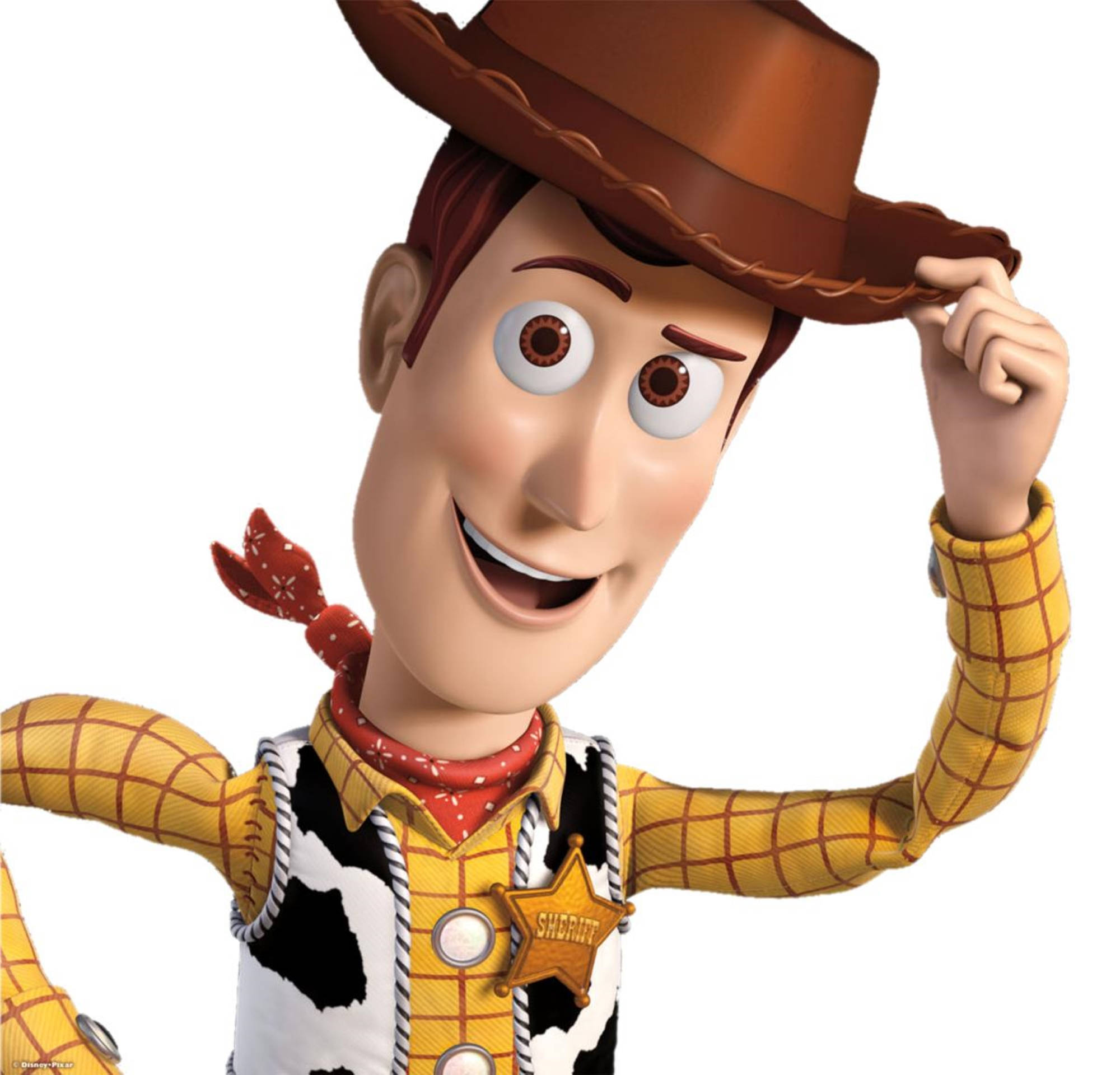 Cowboy 桌布 壁紙 — 一個戴著棕色帽子和黃色格紋襯衫的開心動畫牛仔玩具，正微笑著舉帽致意。