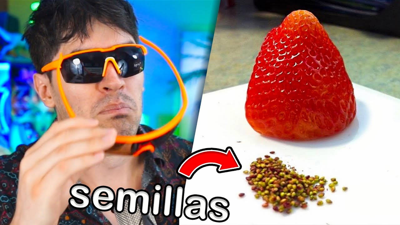 Strawberry 桌布 壁紙 — 一個戴著橙色太陽眼鏡的男人拿著一條橡皮筋，旁邊展示了一顆草莓及其種子。