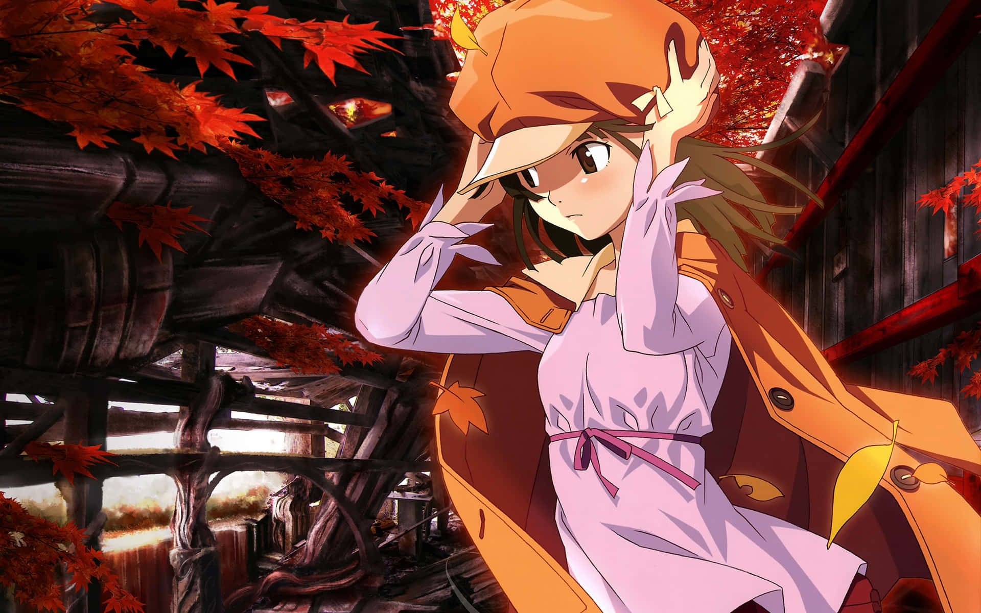 Monogatari 桌布 壁紙 — 一個戴著橙色帽子和外套的年輕動漫女孩站在木結構下，周圍是鮮紅的秋葉。