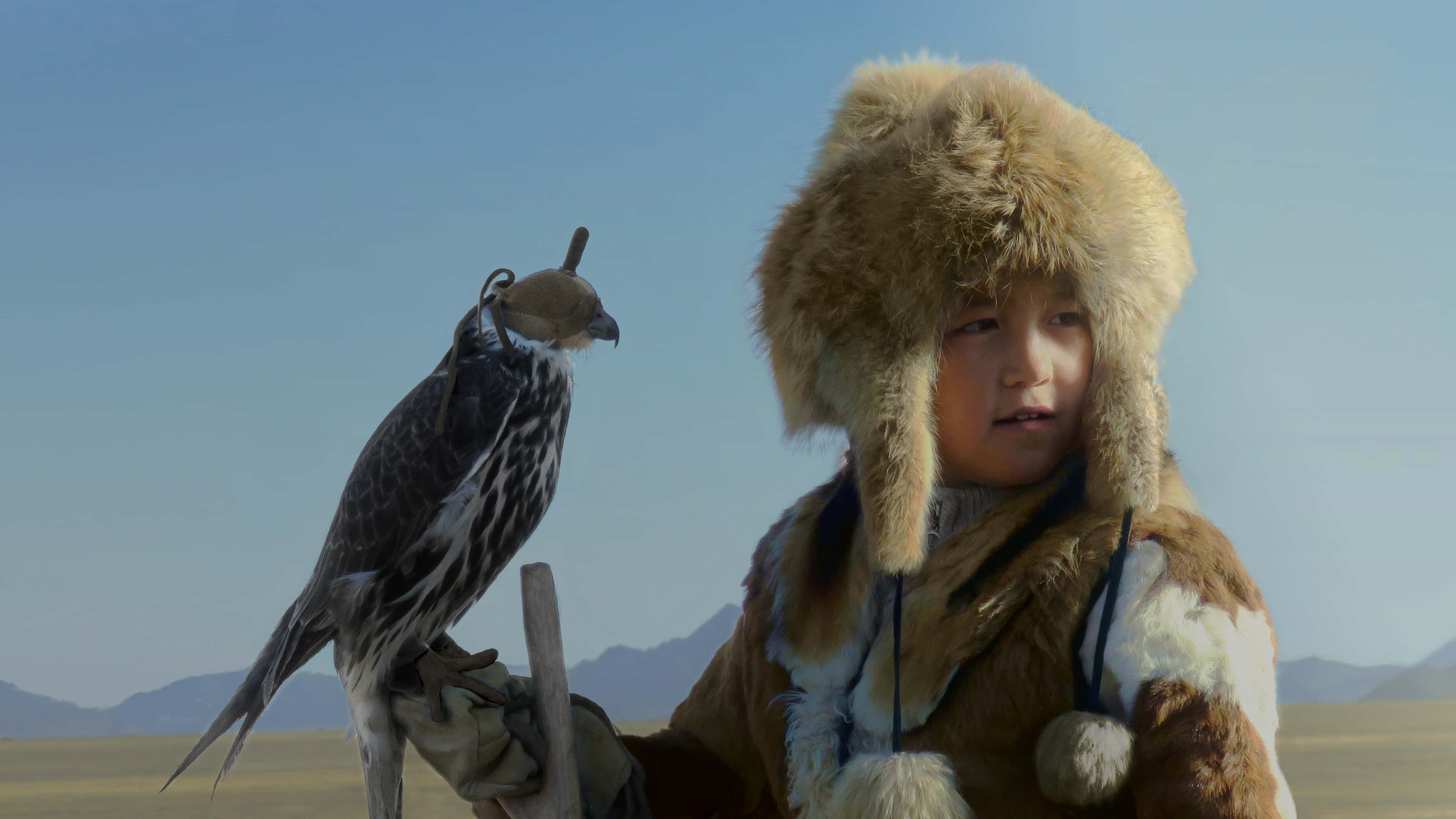 Mongolian 桌布 壁紙 — 一個戴著毛帽和穿著外套的小孩，戴著手套的手上托著一隻獵鷹，背景是廣闊的平原、遠山和清澈的藍天。