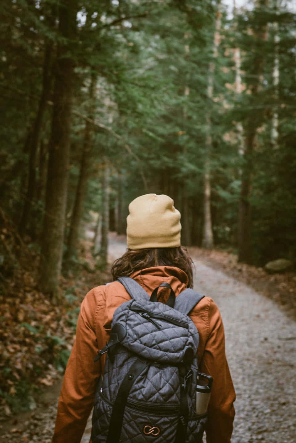 Fall Hikes 桌布 壁紙 — 一個戴著米色毛帽、穿著橙色外套的人背著灰色背包在森林小徑上走遠。