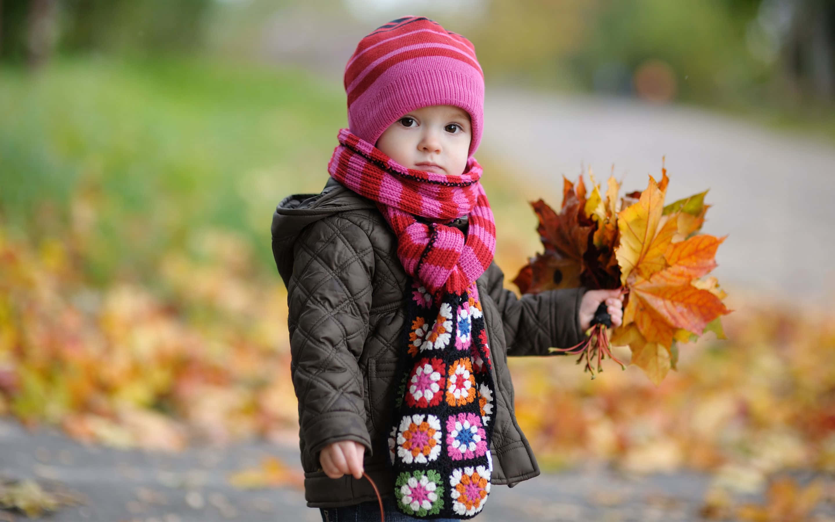 Cute Autumn 桌布 壁紙 — 一個戴著粉紅色帽子和花卉圖案圍巾的幼兒，站在鋪滿落葉的小徑上，手持秋天的樹葉。