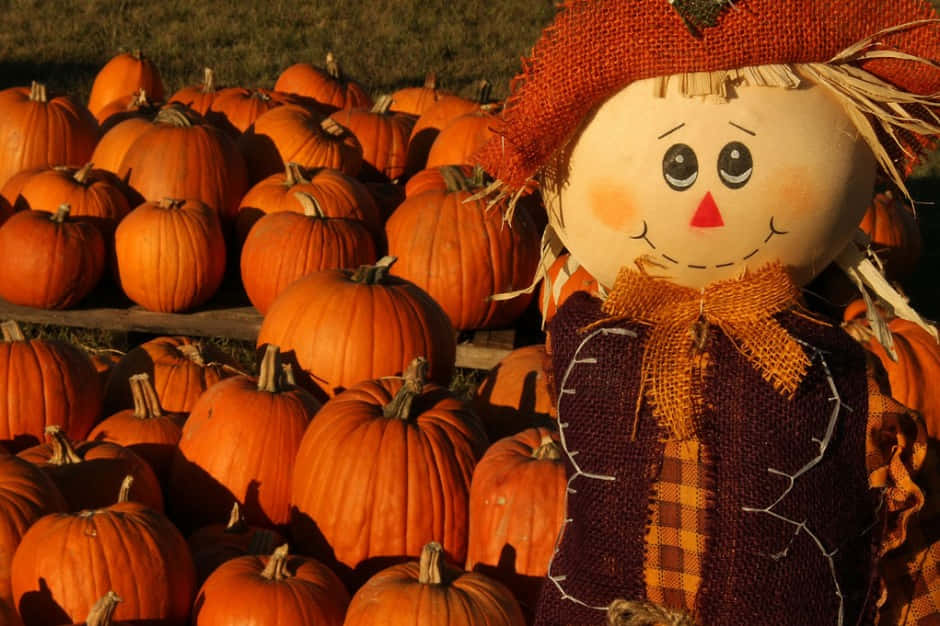 Fall Scarecrow 桌布 壁紙 — 一個戴著粗麻布帽、縫著微笑的快樂稻草人，站在沐浴在溫暖秋光中的金色南瓜堆中。