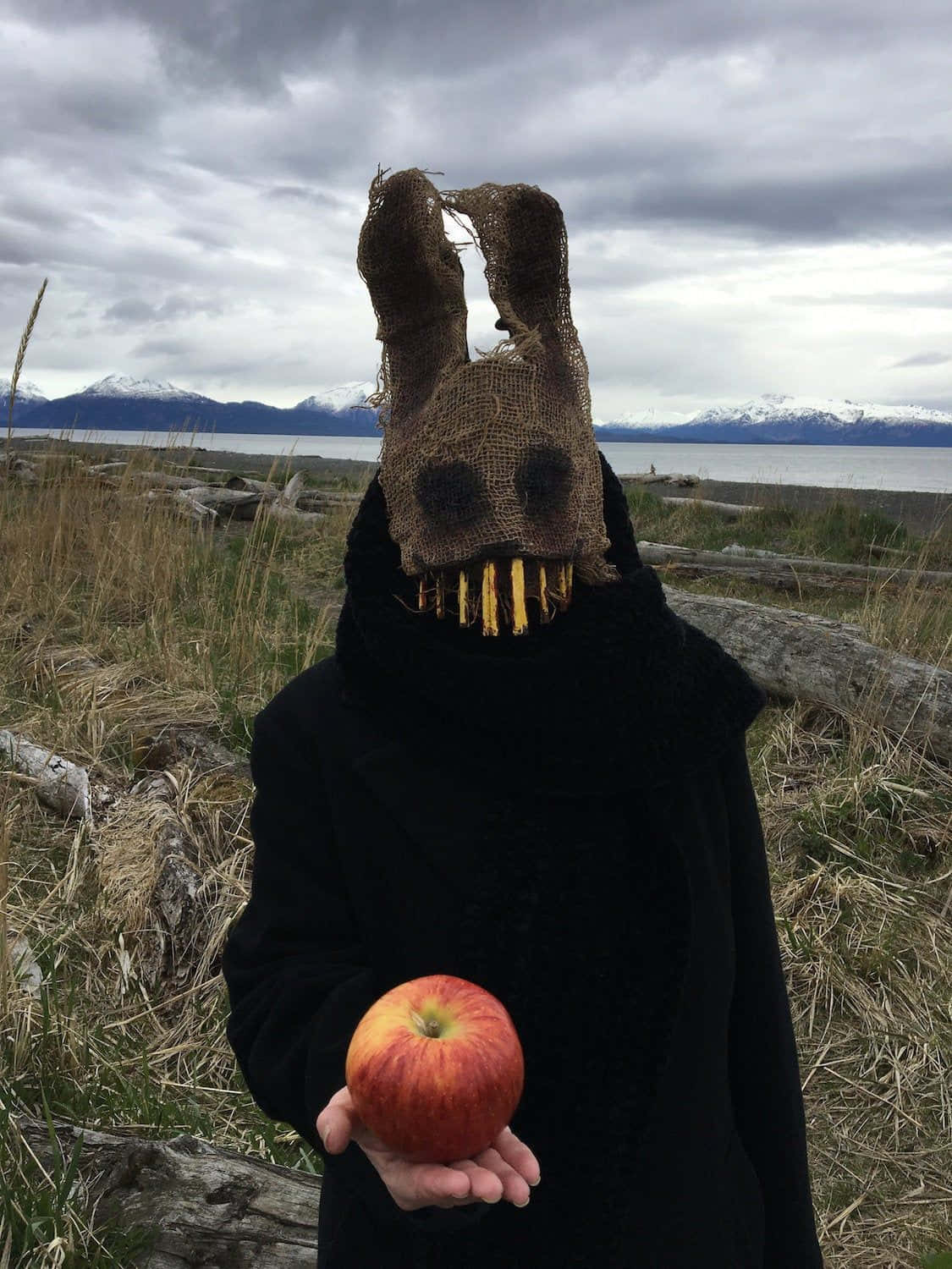 Creepy Easter Bunny 桌布 壁紙 — 一個戴著粗麻布面具的人拿著一個紅蘋果，站在草地上，背景是雪山和陰天。