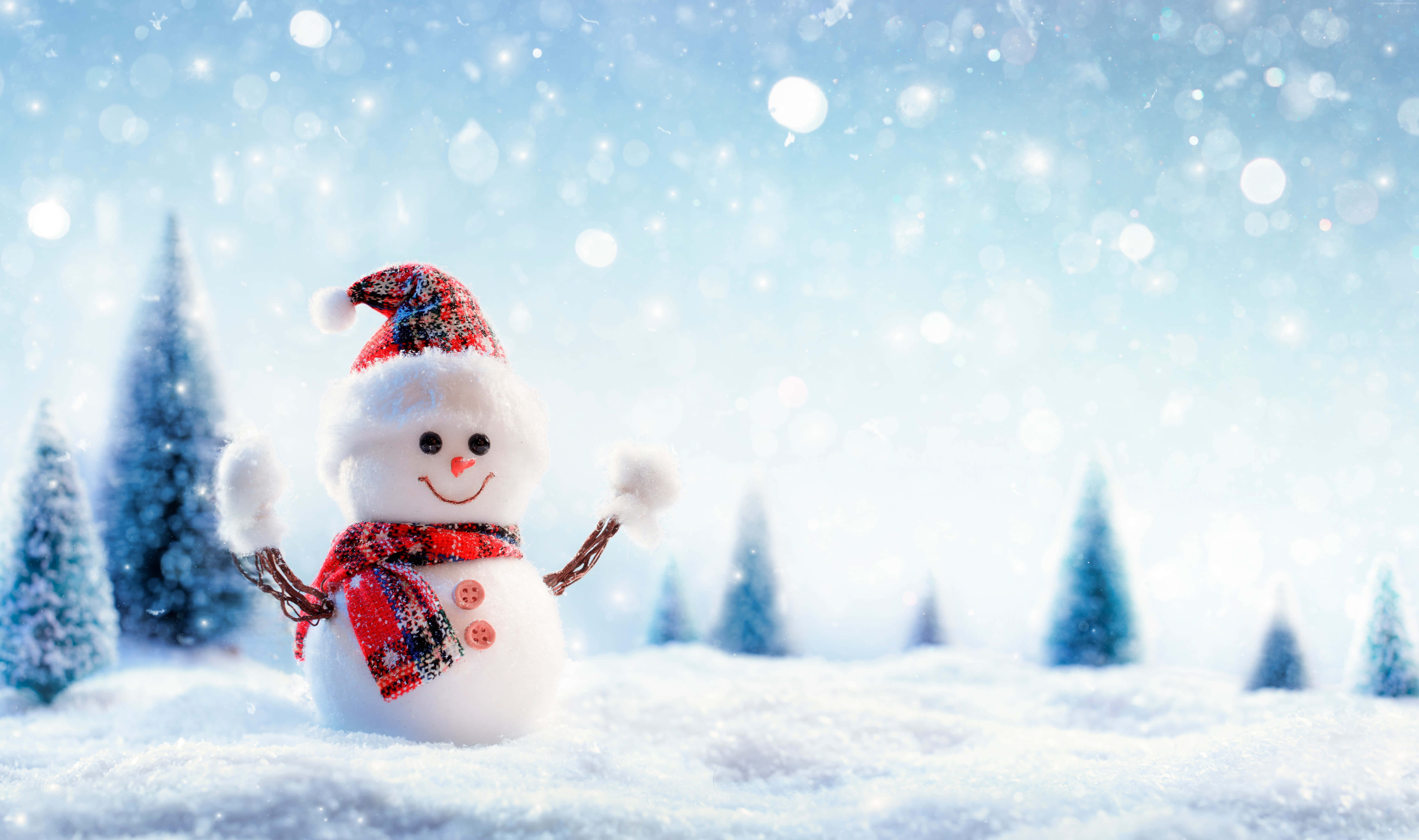 雪人 桌布 壁紙 — 一個戴著紅帽子和圍巾的快樂雪人站在雪花飄落的雪森林中。