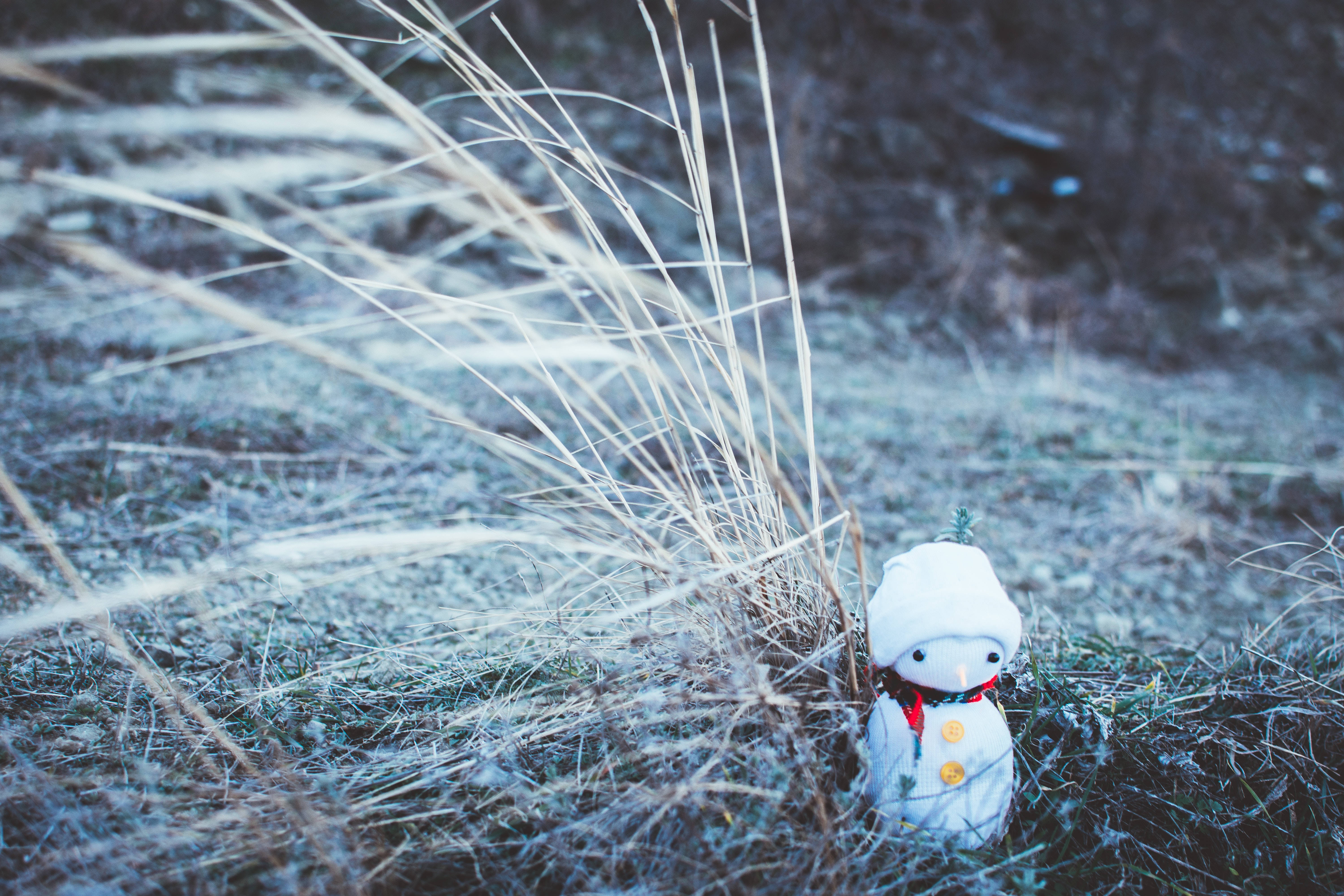 雪人 桌布 壁紙 — 一個戴著紅色圍巾和黃色鈕扣的小雪人公仔坐在結霜的草地上，在柔和冬日陽光下。