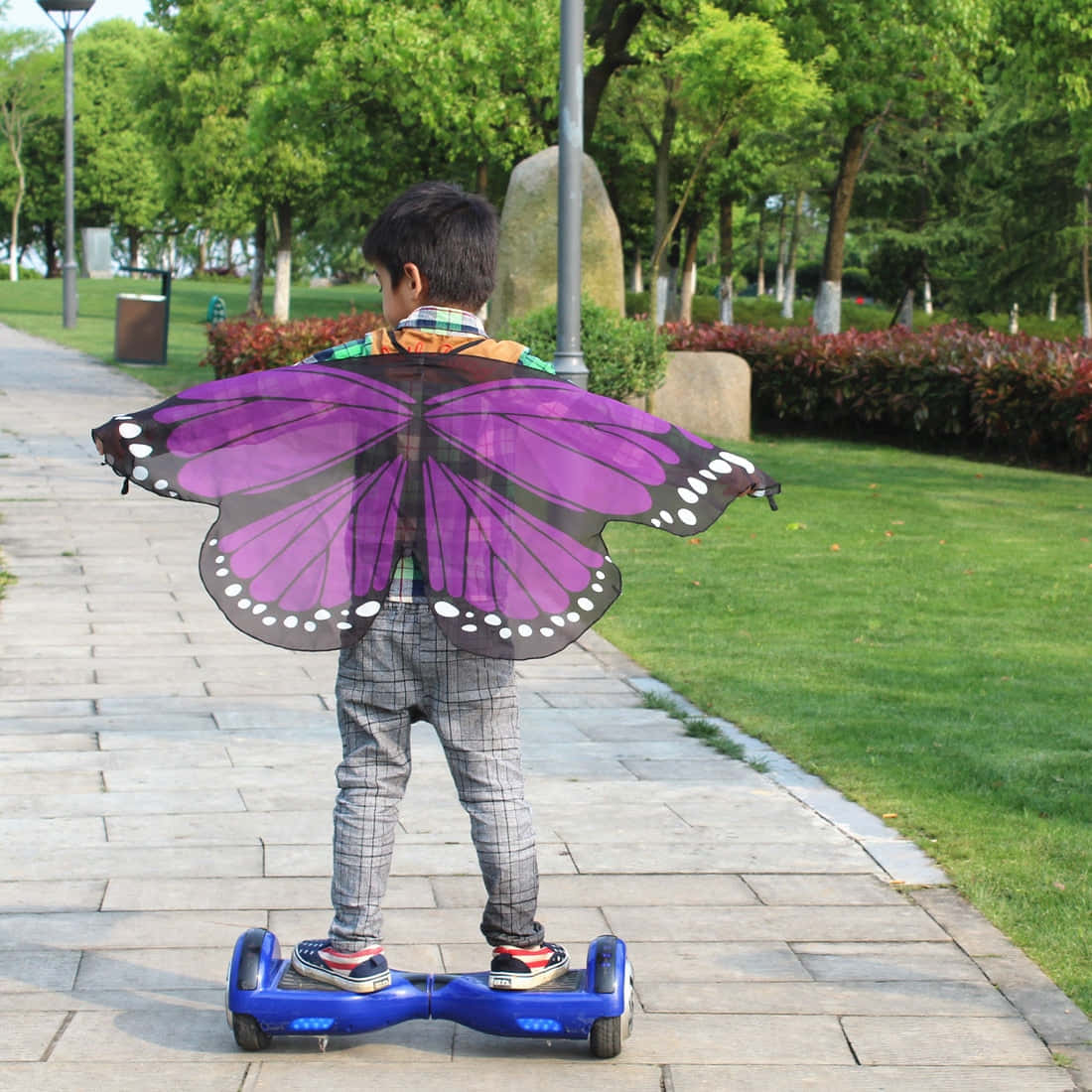 Butterfly Wing Dress 桌布 壁紙 — 一個戴著紫色蝴蝶翅膀的小孩在翠綠公園的石徑上騎著藍色懸浮滑板。