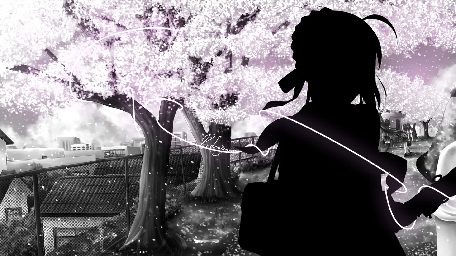 anime black and white 桌布 壁紙 — 一個戴著耳機的女孩剪影站在盛開的櫻花樹下，花瓣在單色城市公園中飄落。