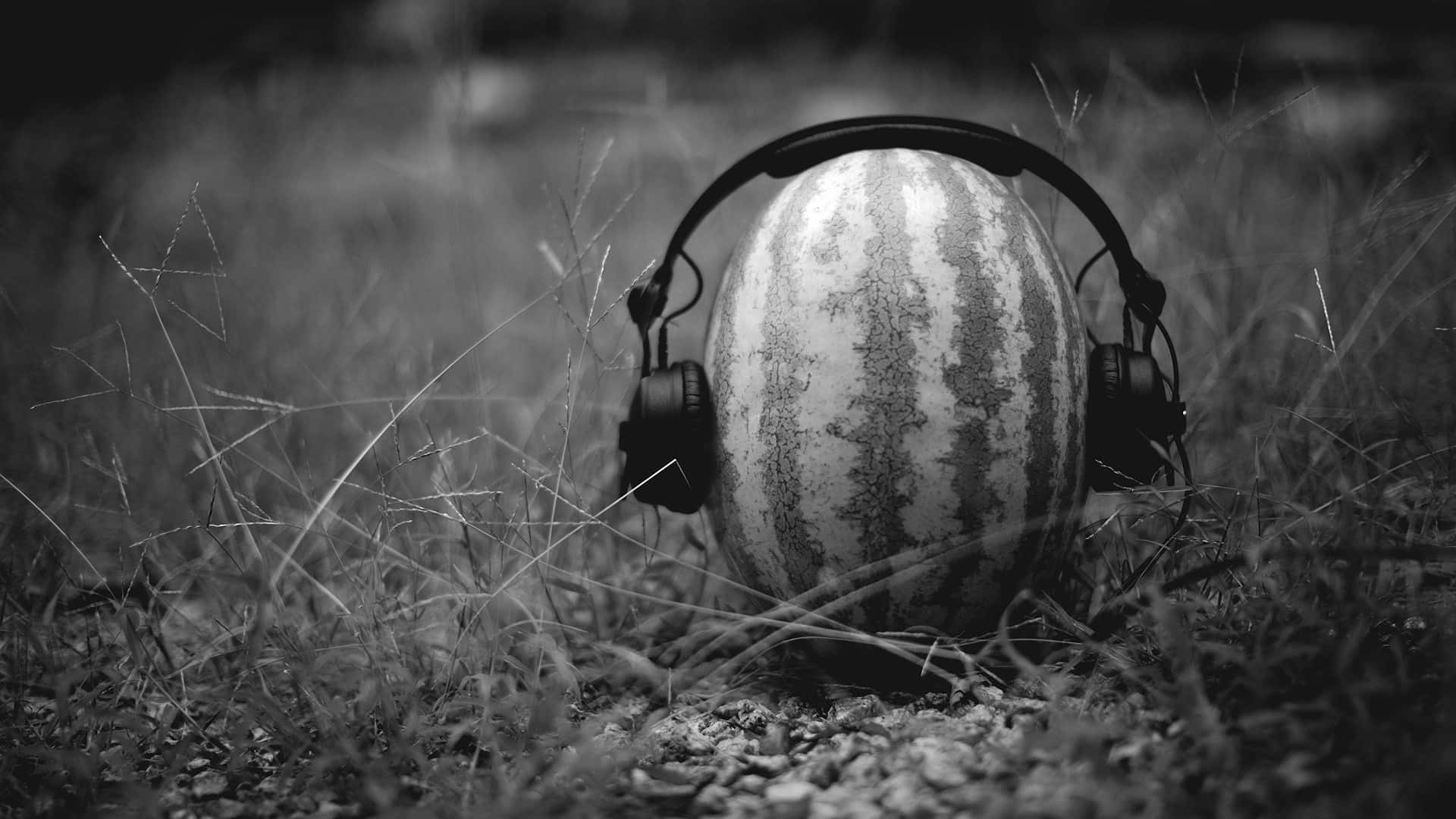 Black And White Music 桌布 壁紙 — 一個戴著耳機的西瓜躺在草地上，黑白和超現實，喚起音樂夏日氛圍。
