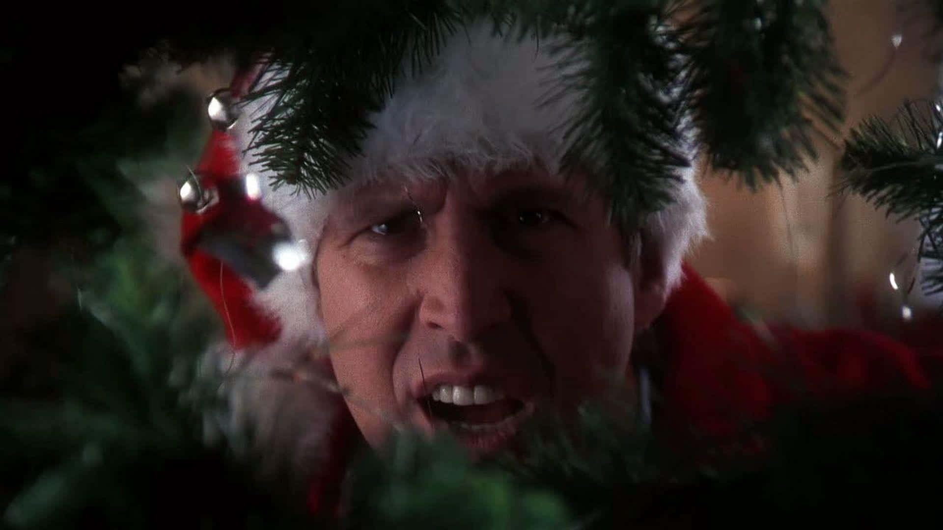 Christmas Vacation 桌布 壁紙 — 一個戴著聖誕帽的男人透過茂密的松樹枝葉，在昏暗光線中銀色裝飾品柔和發光，他專注地凝視著。