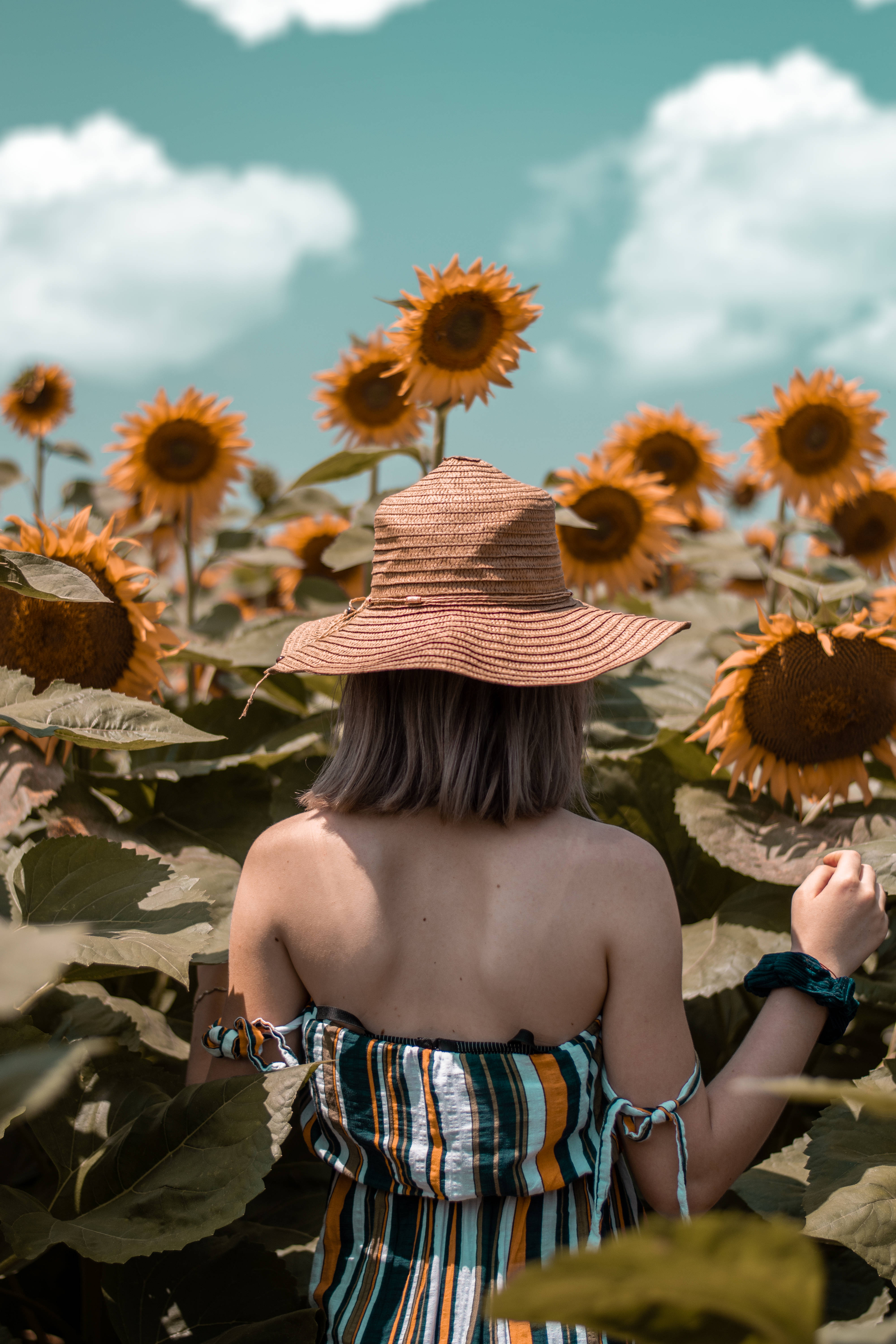 Sunflower Aesthetic 桌布 壁紙 — 一個戴著草帽的人站在充滿活力的向日葵田裡，頭頂是藍天白雲。