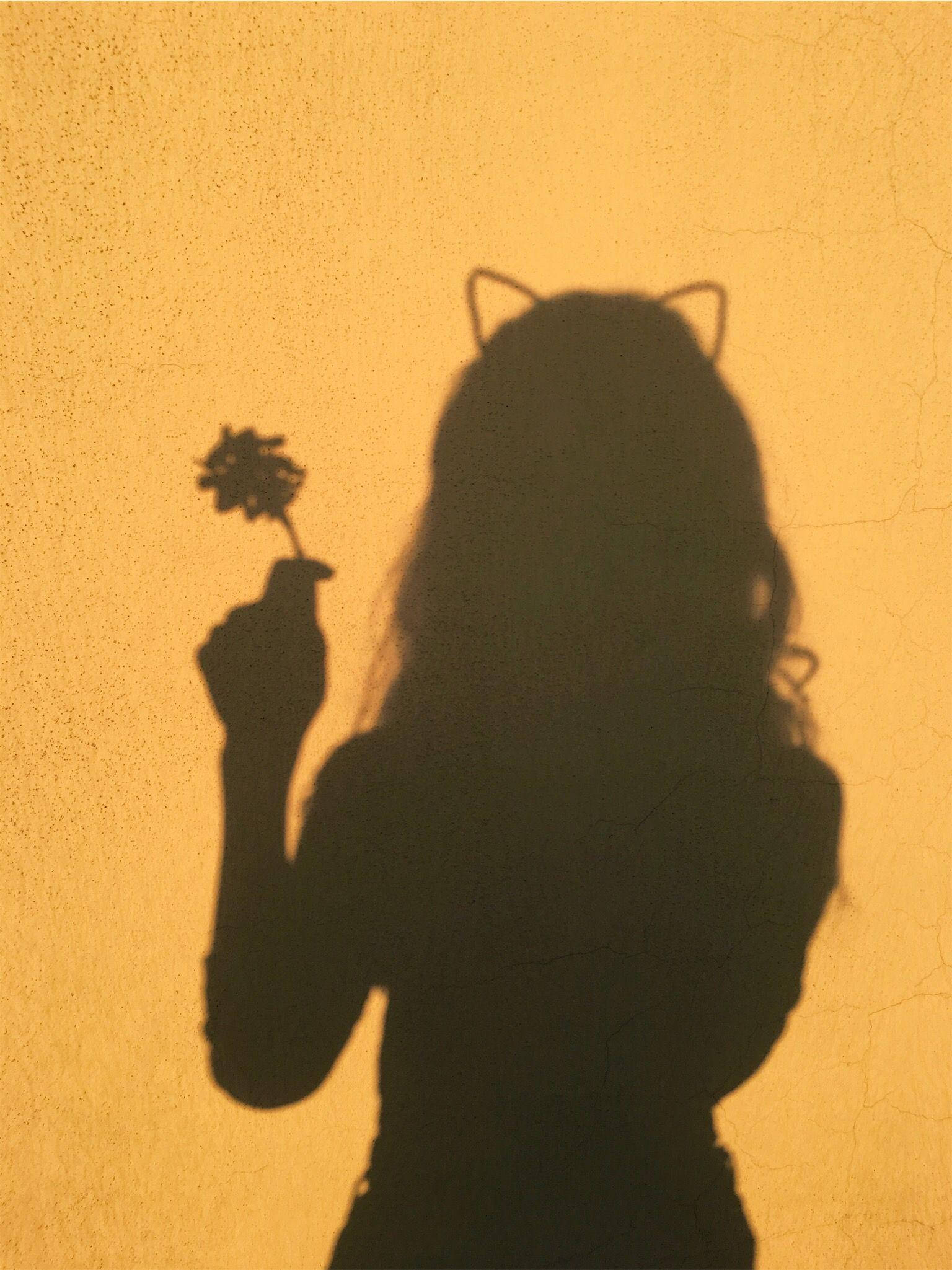 Silhouette 桌布 壁紙 — 一個戴著貓耳的人手持花朵，背景是帶有紋理的金色牆壁的剪影。