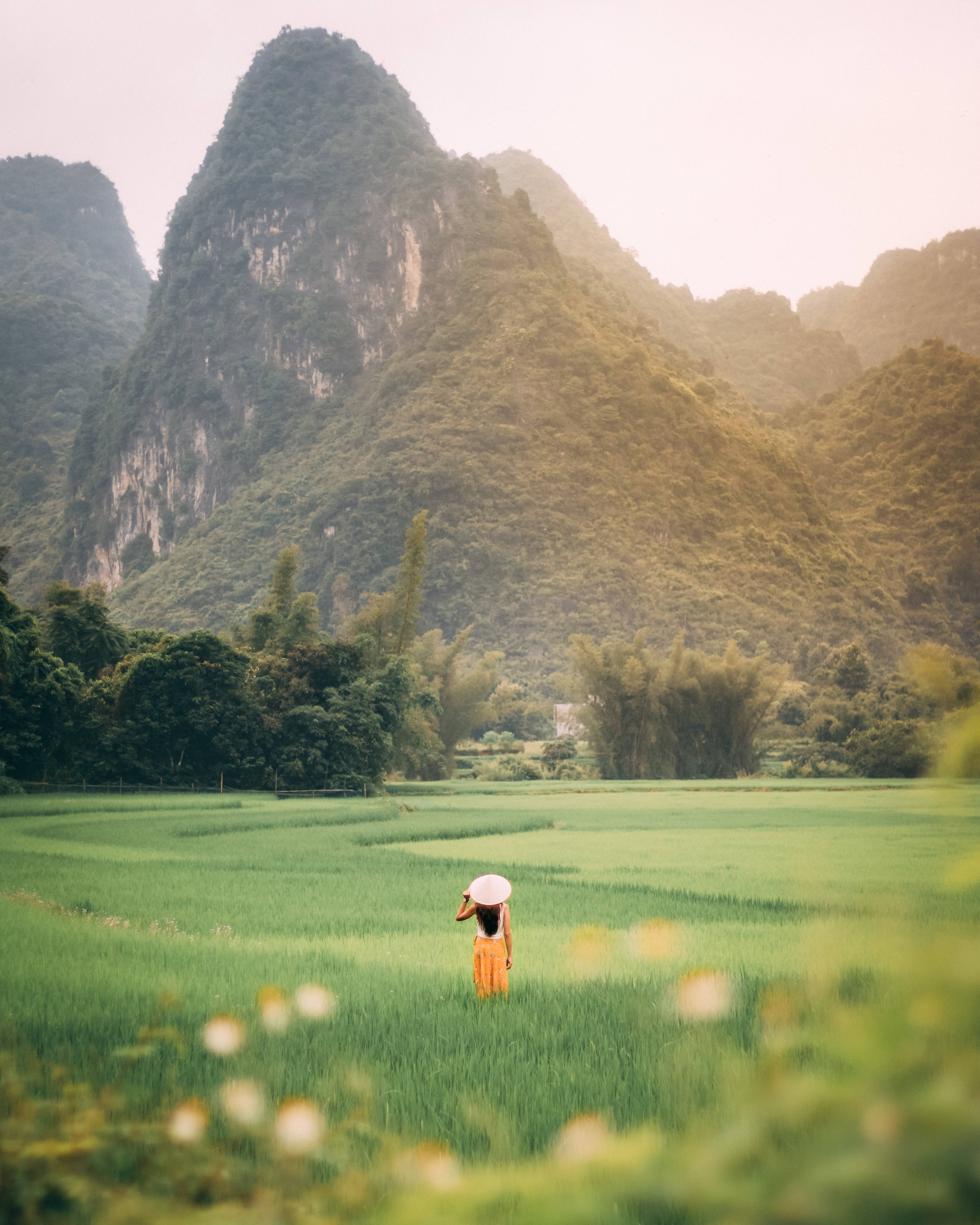 Greenery 桌布 壁紙 — 一個戴著錐形帽的孤獨身影，走過廣闊的綠色稻田，背景是朦朧中高聳的喀斯特山脈。